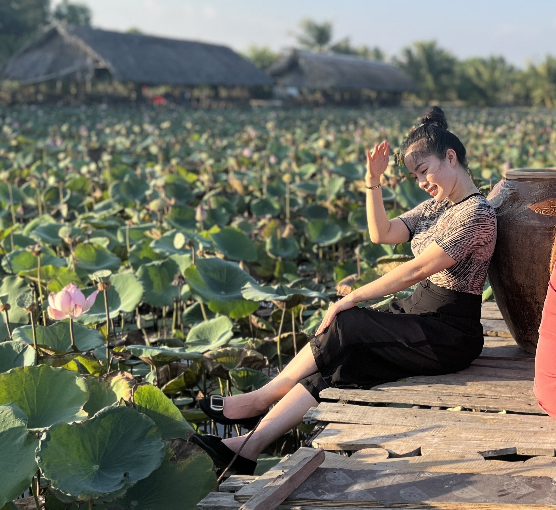 有一个数千平方米的莲花池盛开，等待大家来打卡