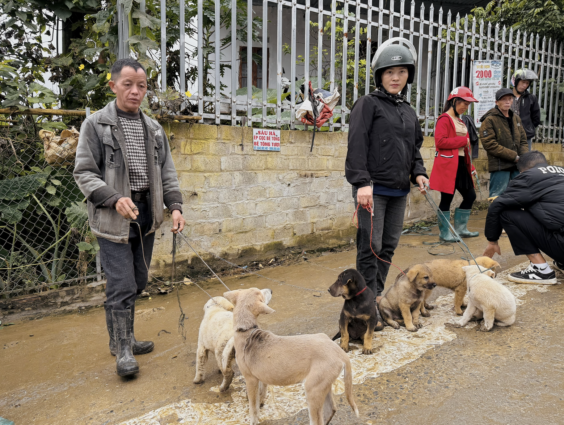 北河狗市在寒冷雨中热闹非凡