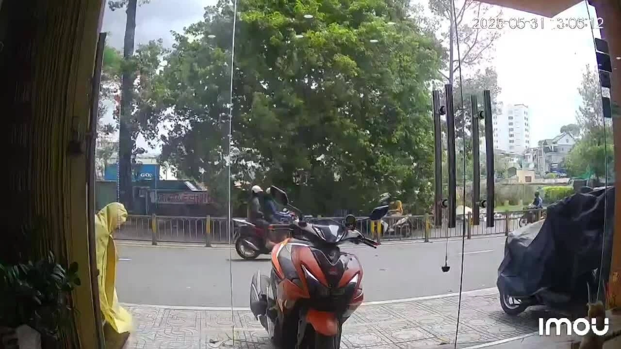 胡志明市的树木、起重机倒塌压人、汽车