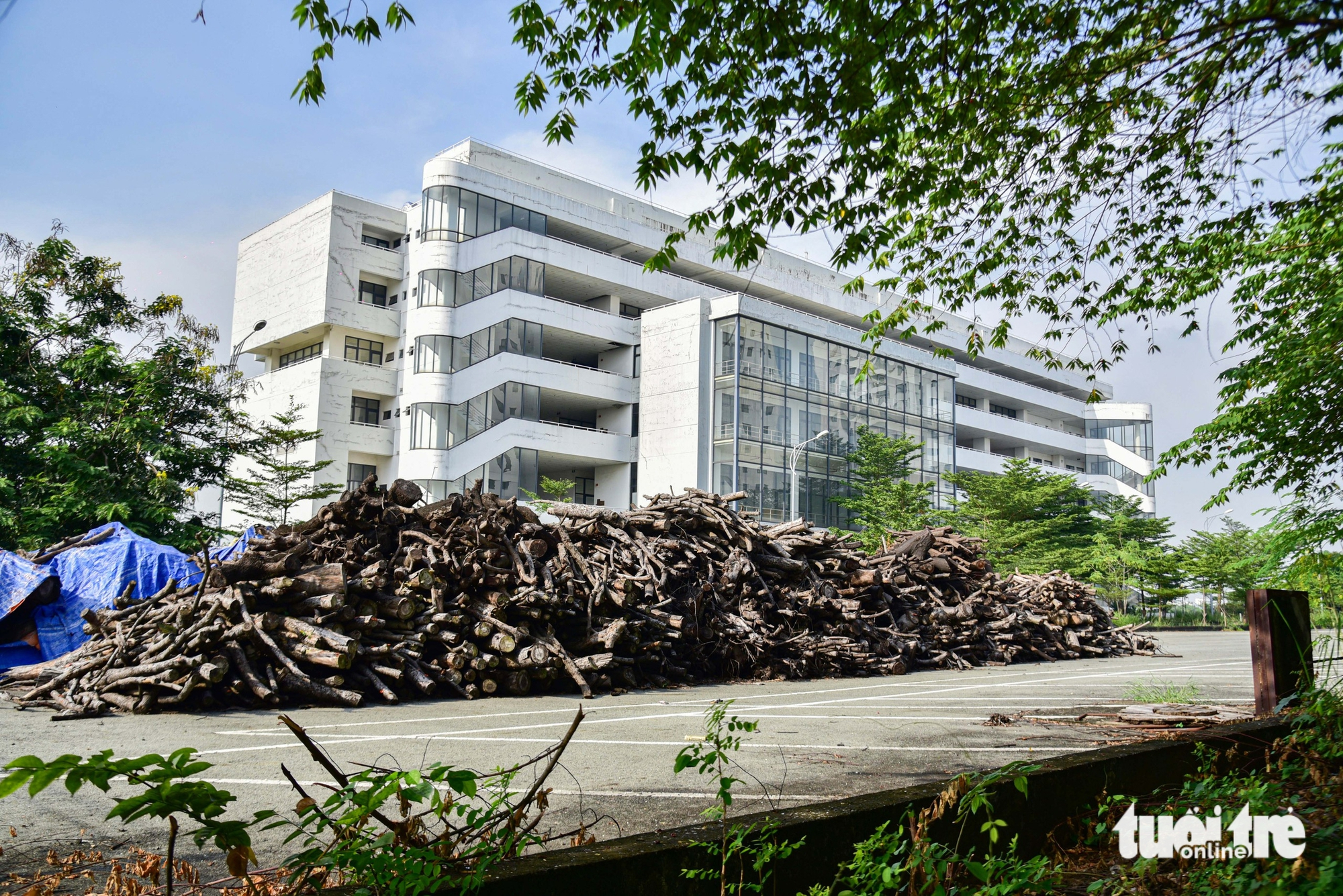 地铁2号线沿线优先试点TOD区域全景