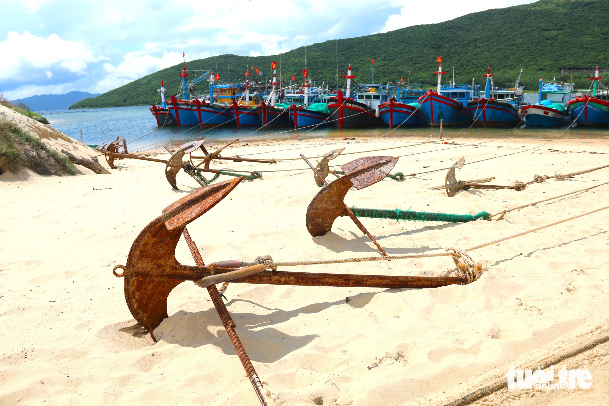 从达姆雷台风的'血泪教训'中，尽管天气晴朗，庆和省民众仍紧急应对卡尔梅吉台风