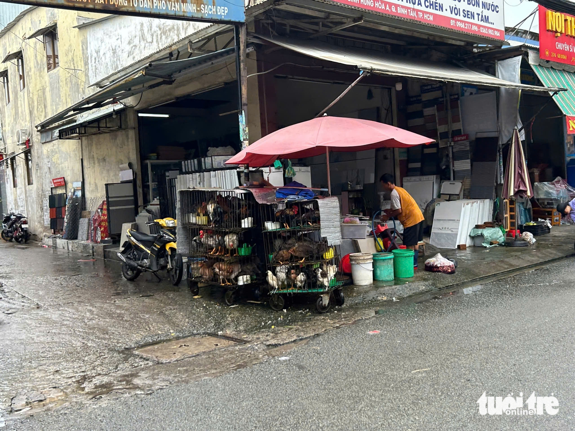 杀完鸡将水倒在人行道上，溢出到买卖道路：职能部门怎么说？