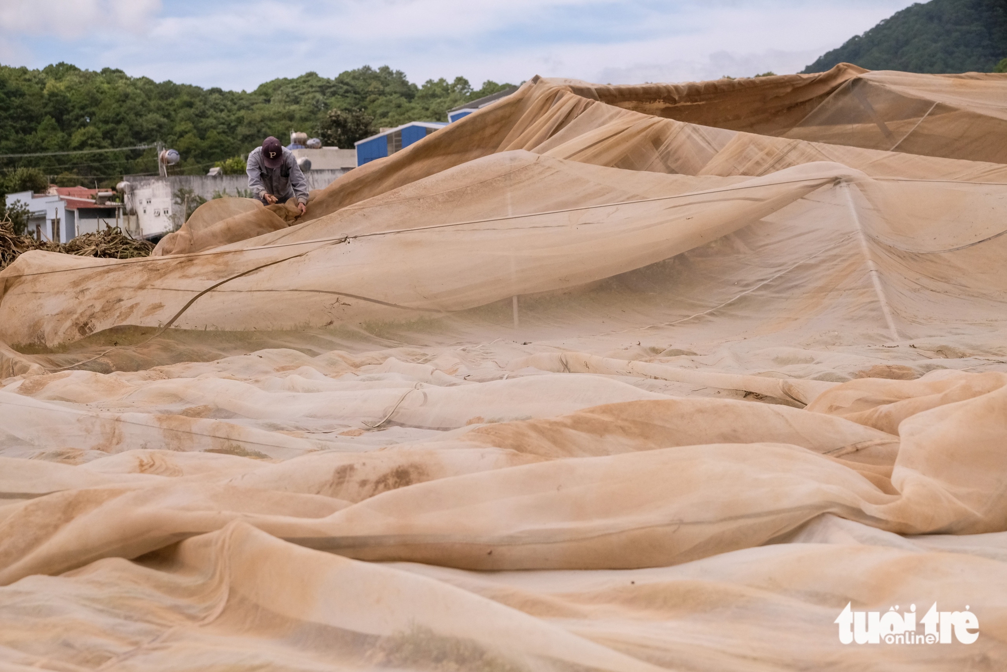 林同省最大蔬菜区在洪水后一片狼藉的景象令人心痛