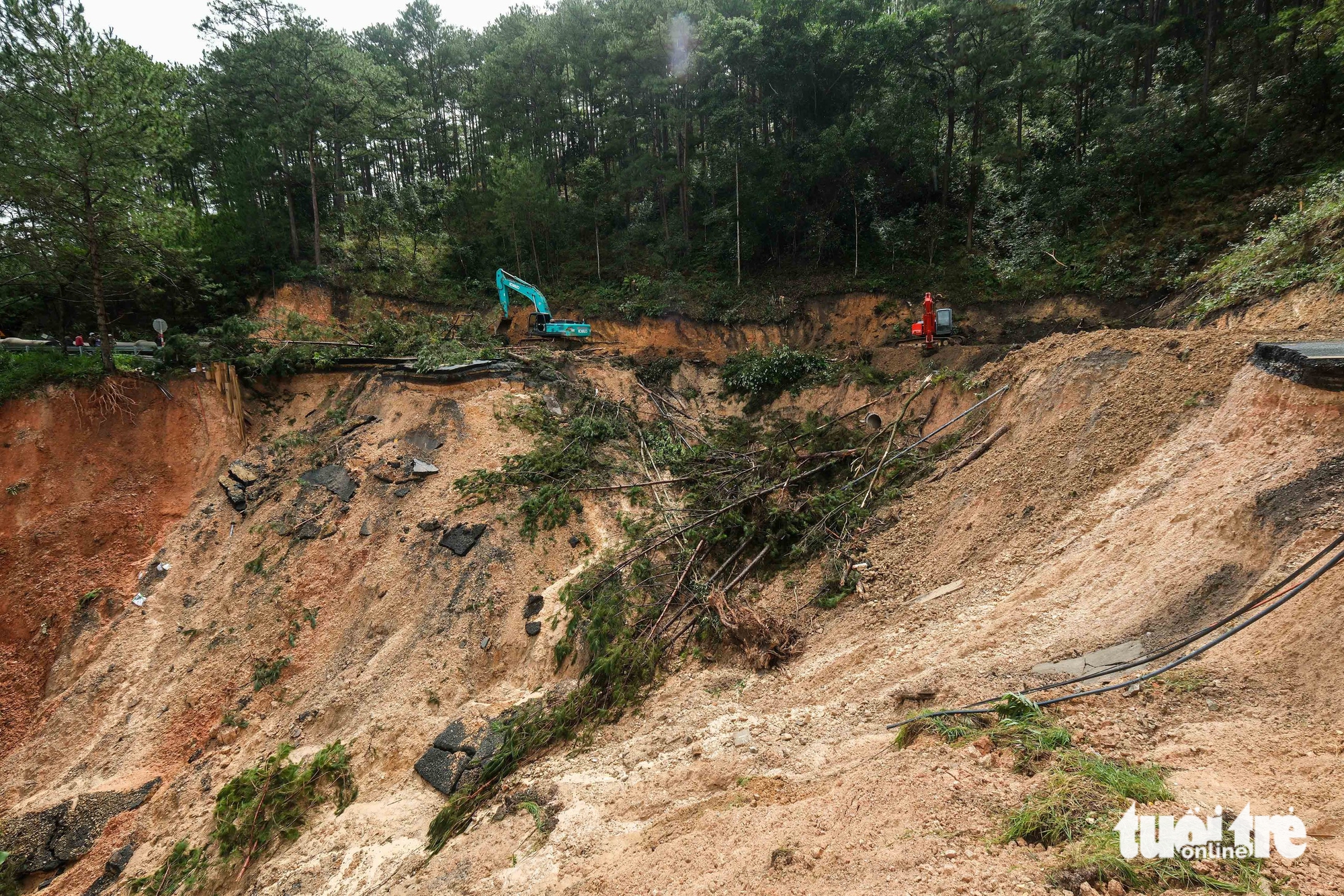 如何在10天内开通大叻的Mimosa山口？