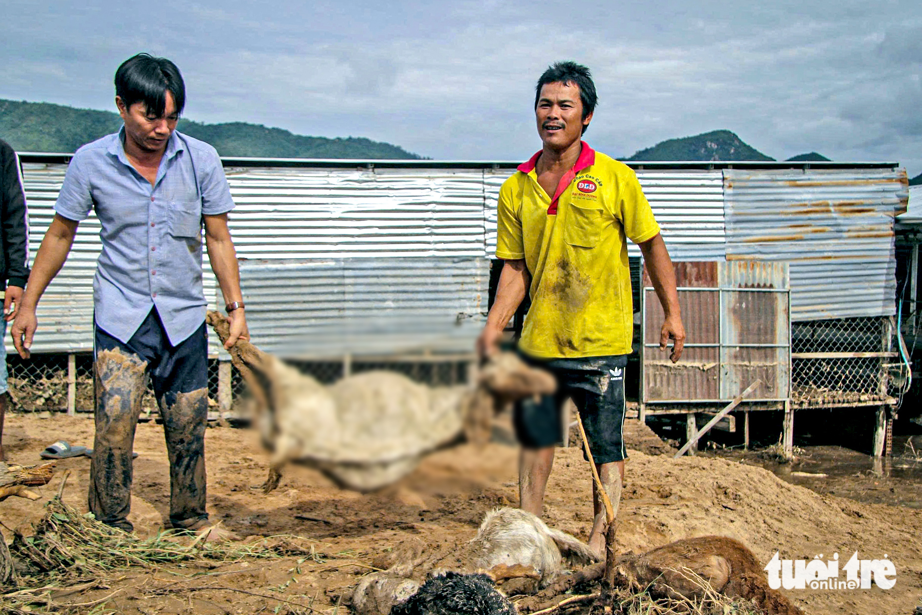 起诉顺平水库溃坝致人死亡案件