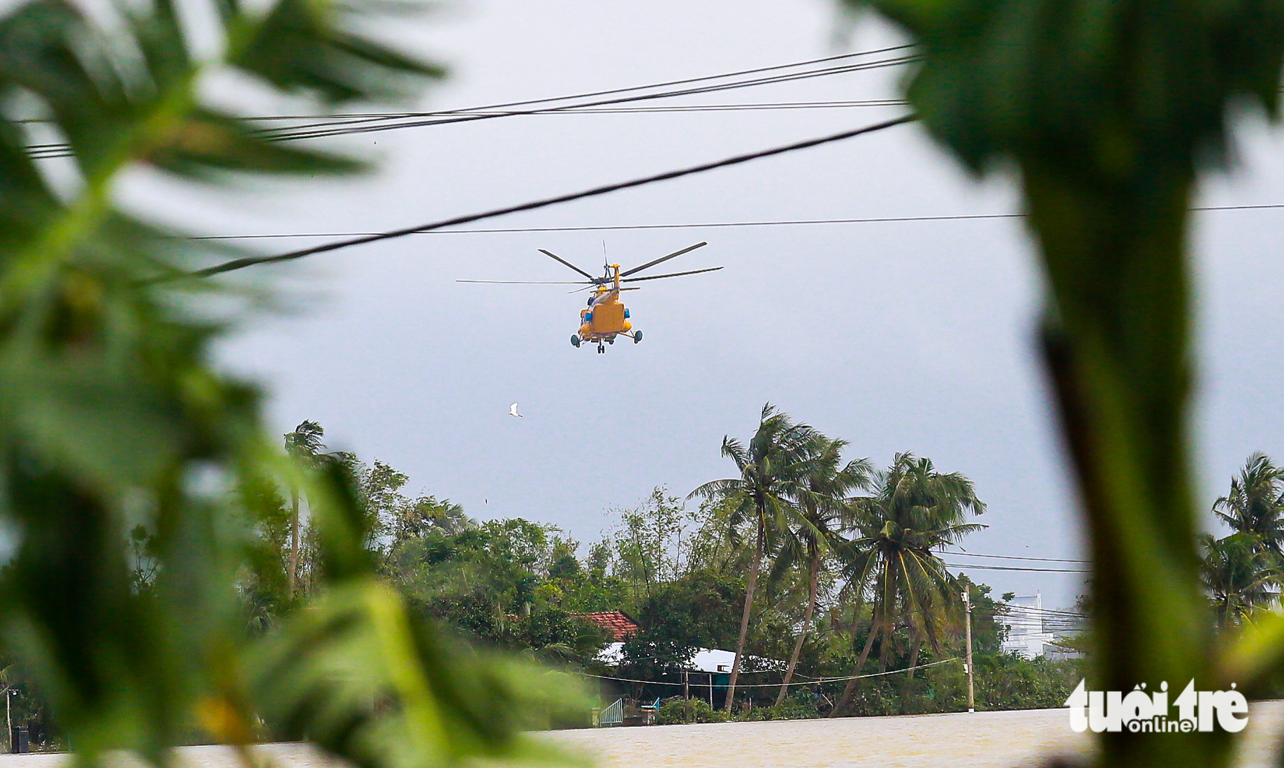 富安省旧地居民涌向第917团直升机降落点接收紧急救援物资