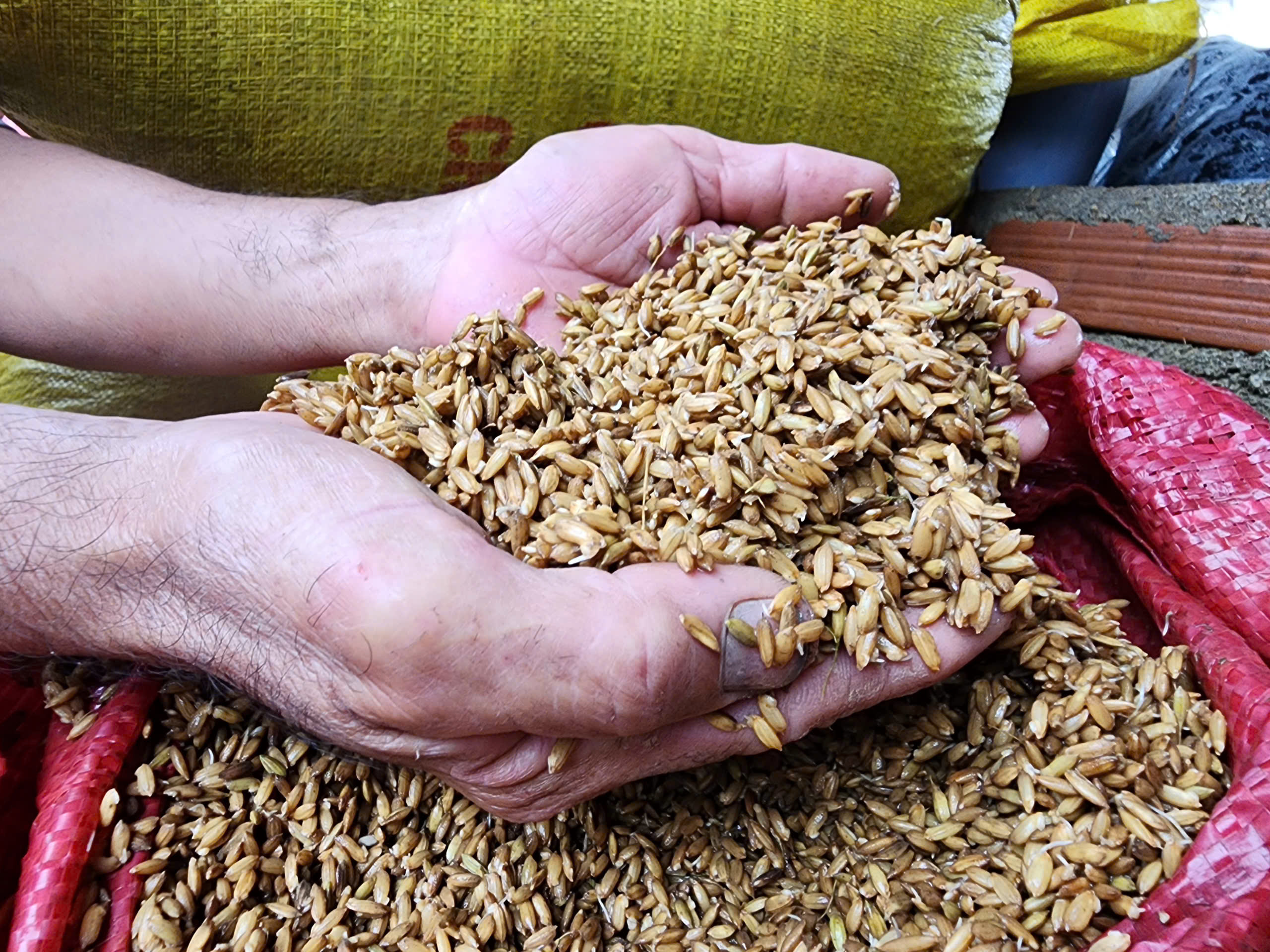 洪水过后，全村无米无粮……许多财产随水流走