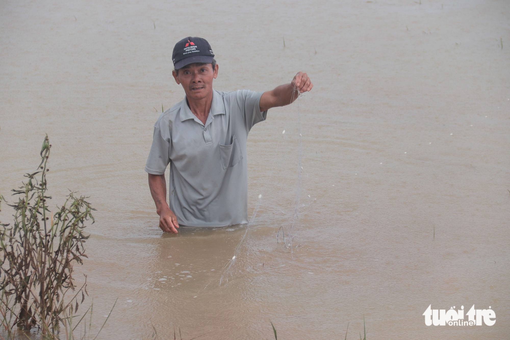 洪水刚退，岘港市民到田间捕获数十公斤鱼