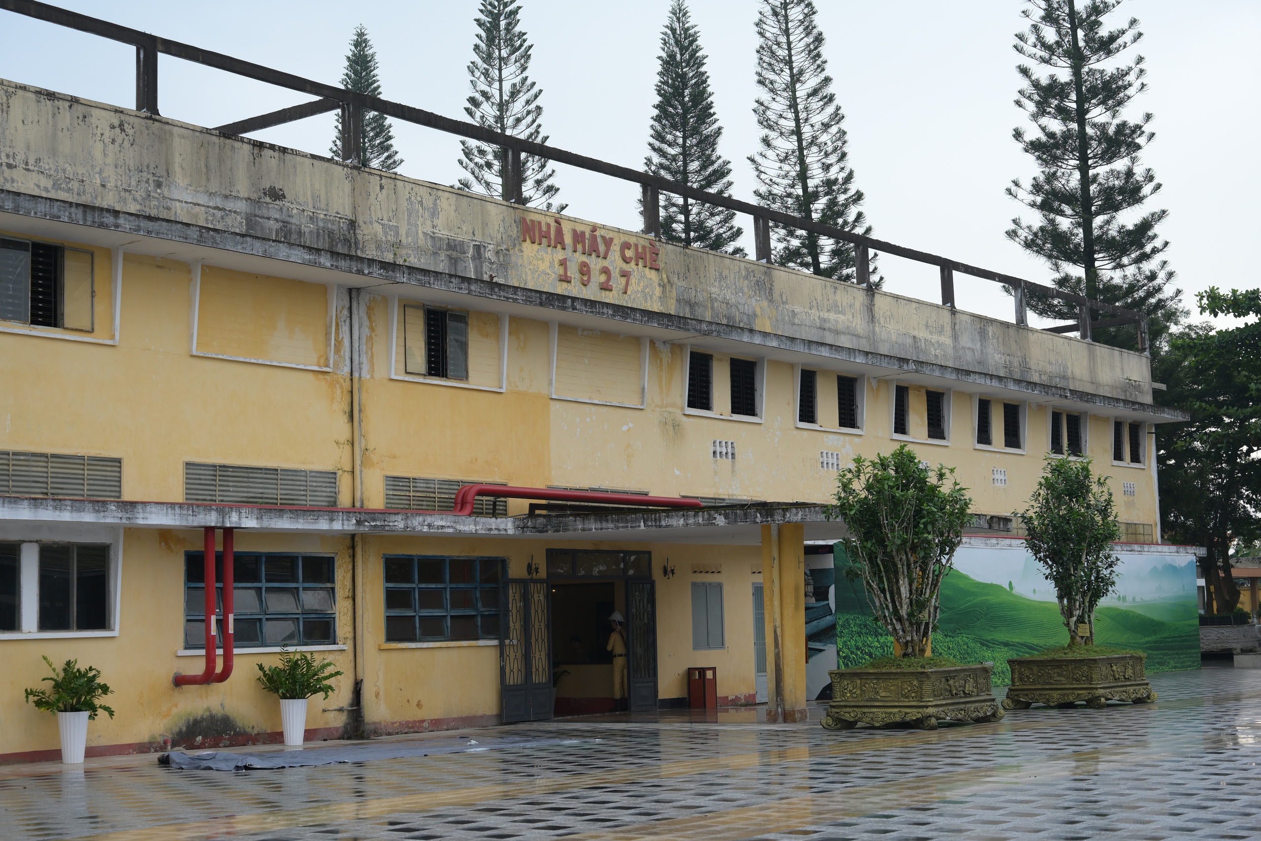 游客涌向1927年古老茶厂观看实景表演