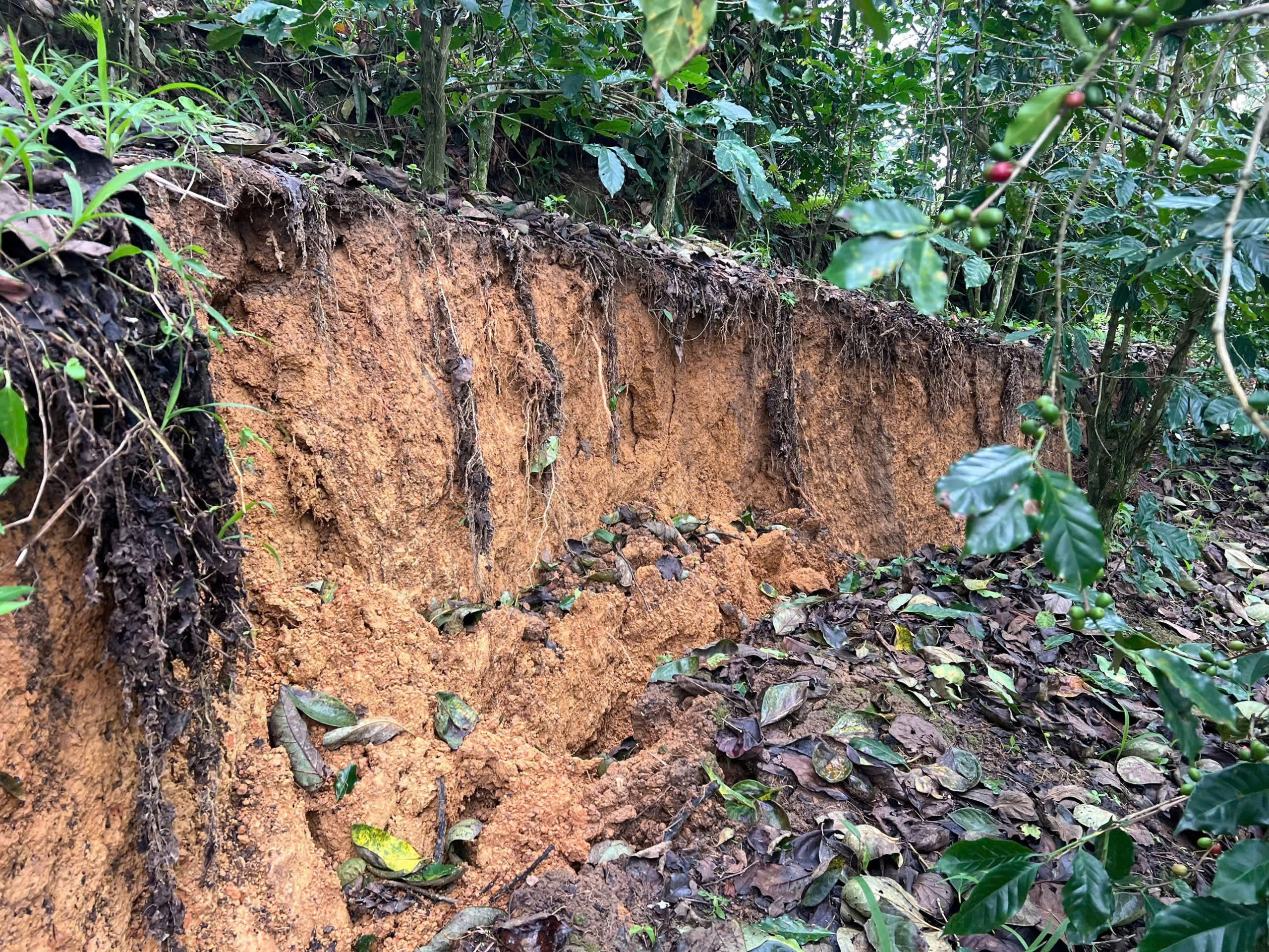 达尼姆水电站附近洪水区出现100米长裂缝