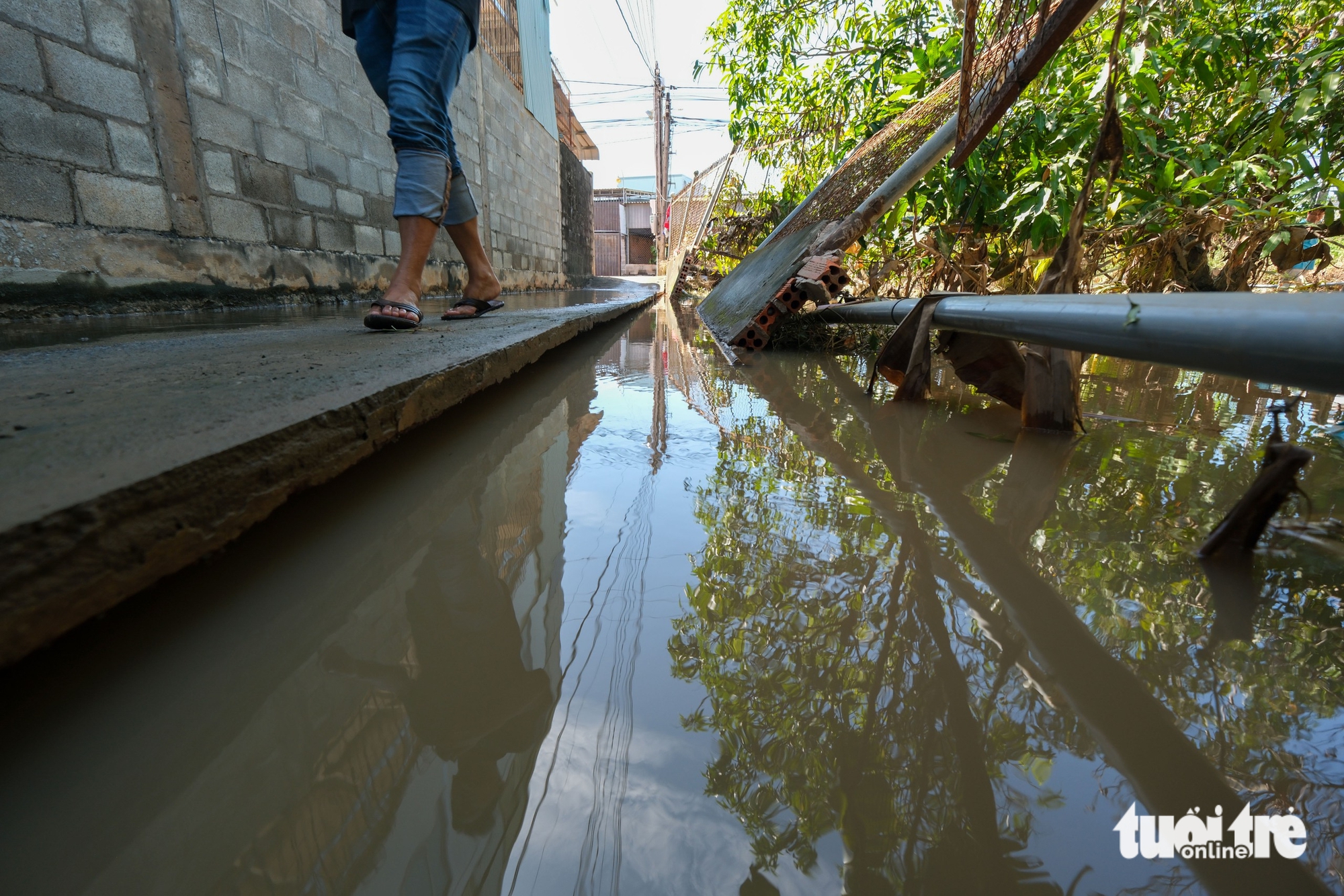 平顺火龙果园因洪水而损失惨重