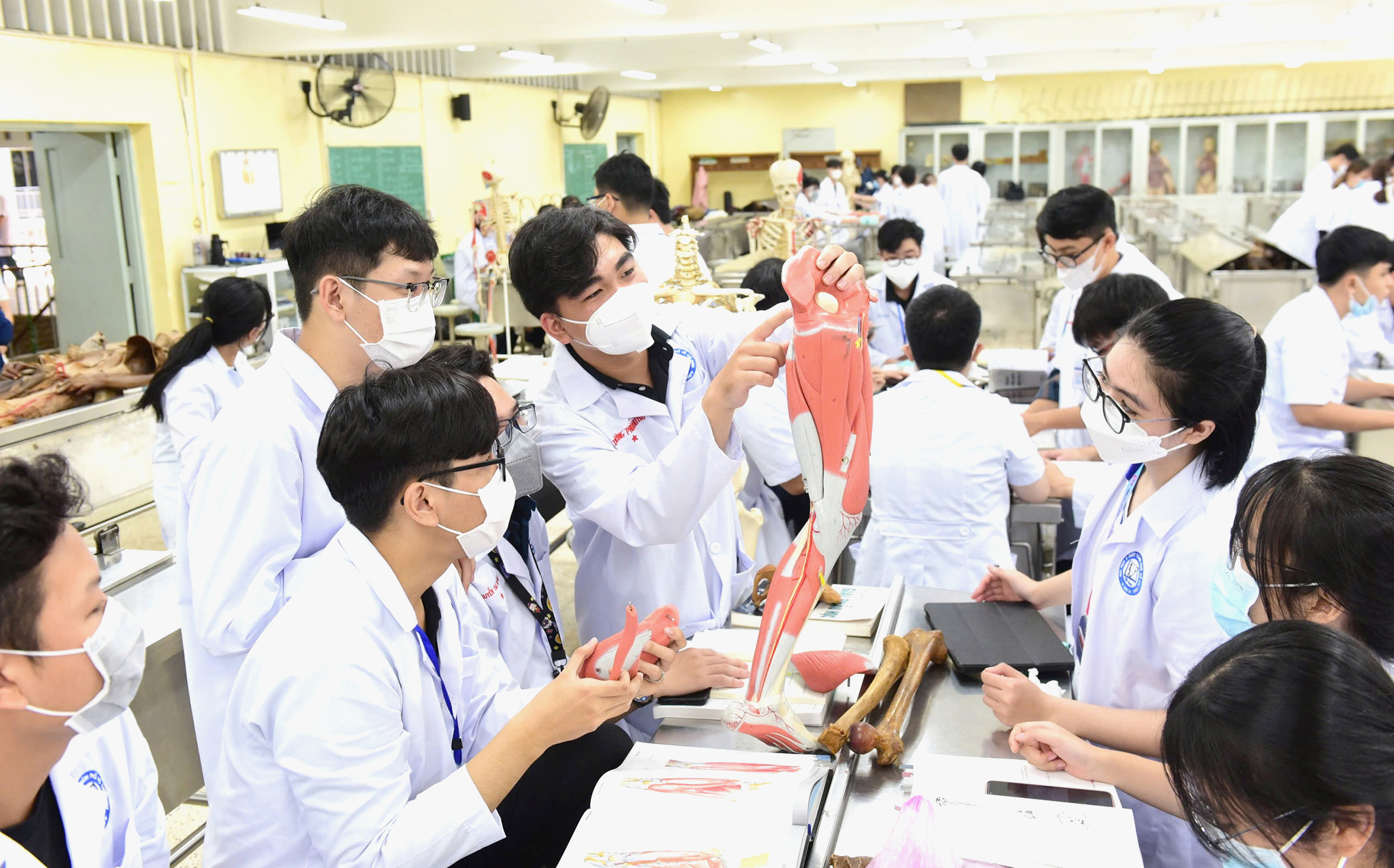 教育与培训部提出关于大学重组的新建议