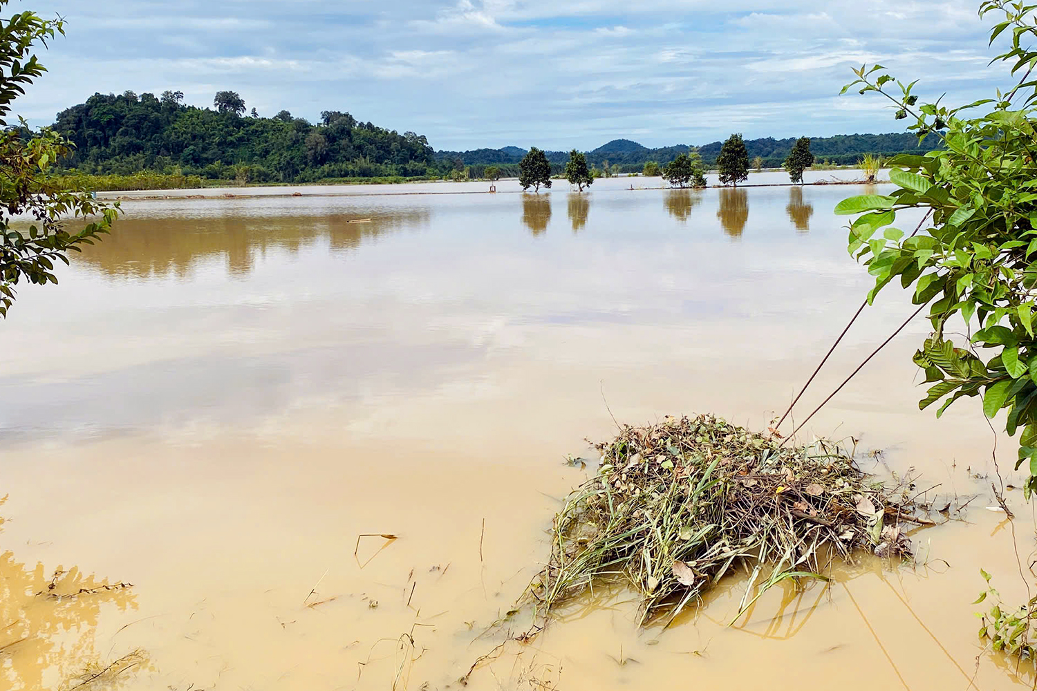 同奈省地方当局称未收到水电厂正式泄洪通知