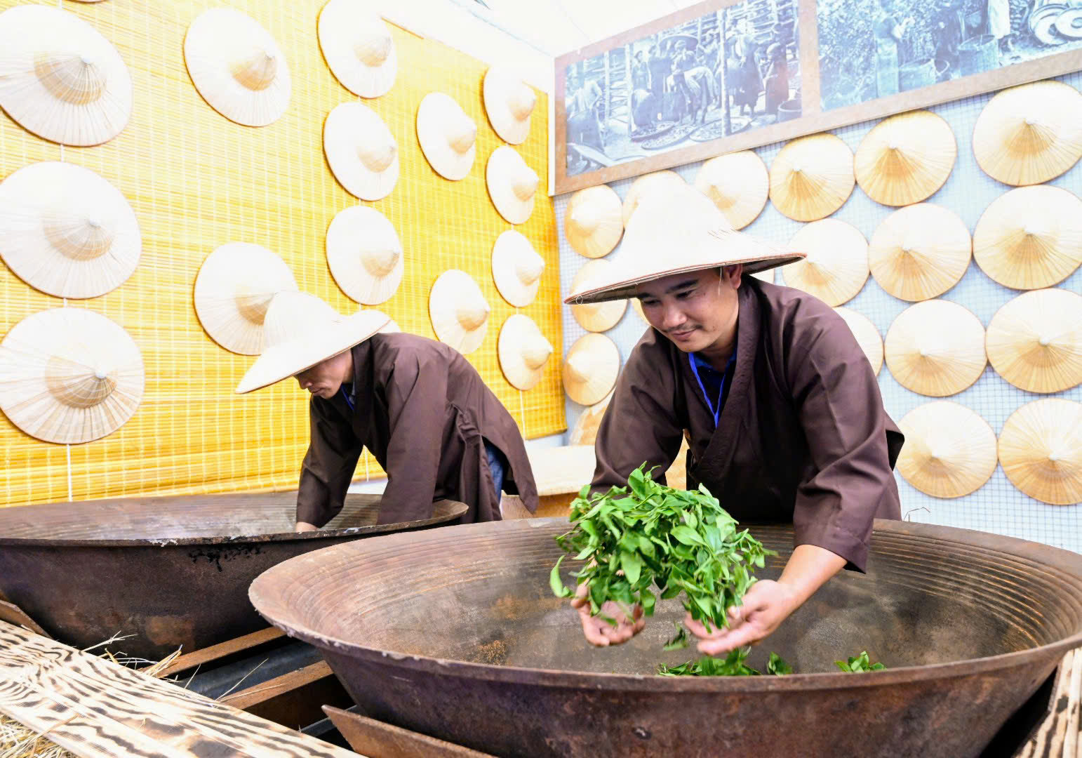 在世界地图上定位越南茶