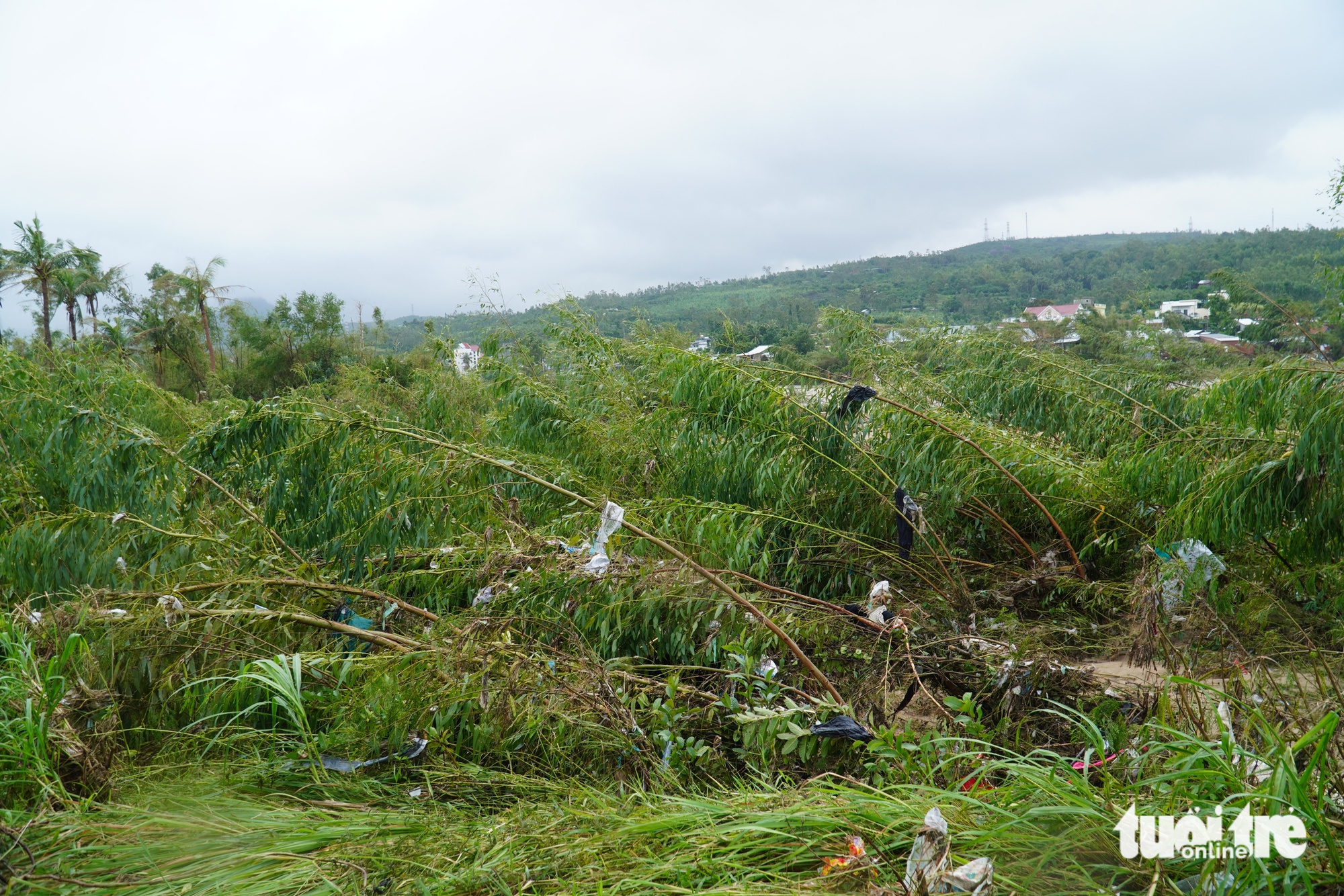 富安省旧区水退后房屋倒塌，道路出现“蛙嘴”裂缝