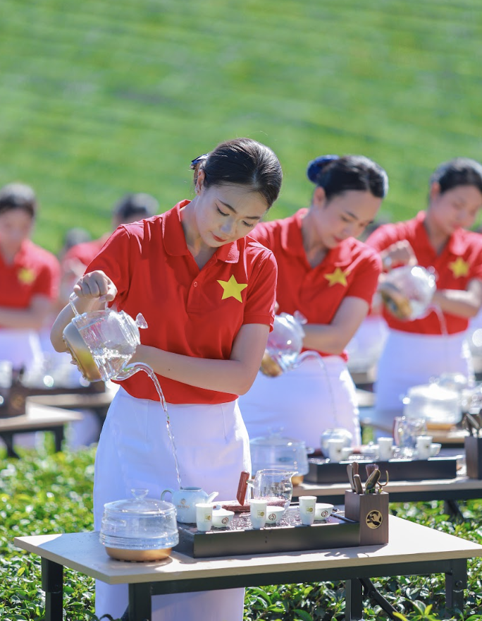 1,111名'茶娘'在茶山上同步献茶表演，提名越南纪录