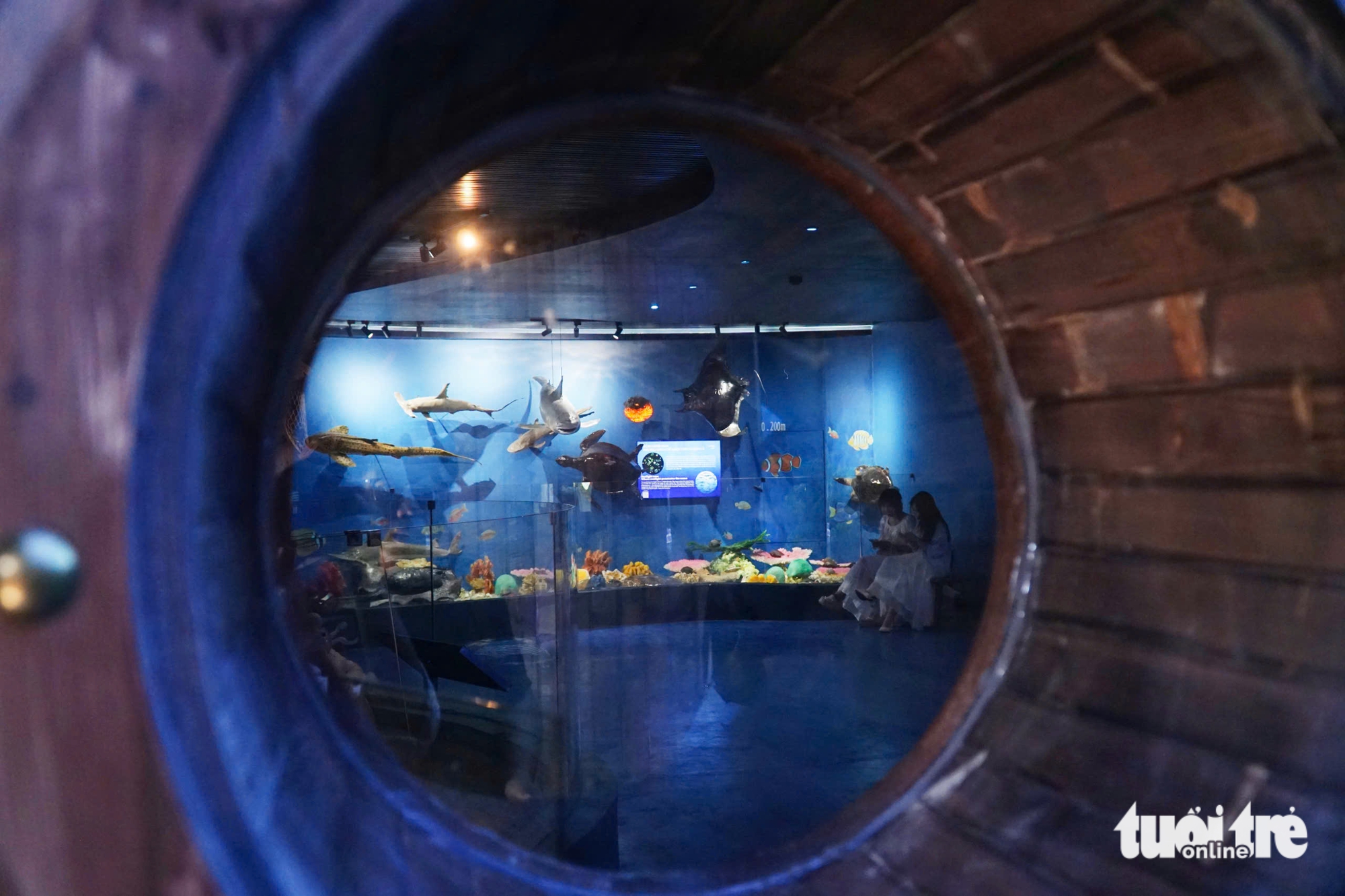 探索芽庄海洋生物空间，深度达6000米