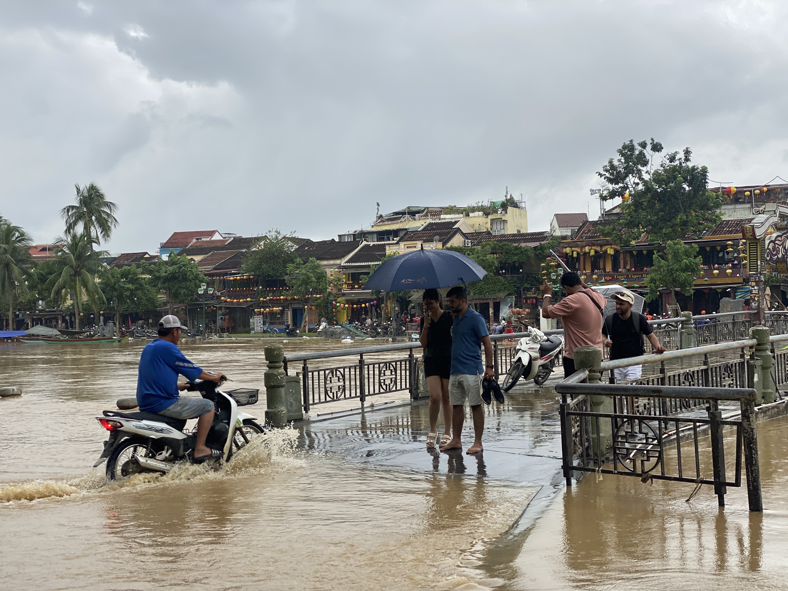 昨天还泥泞不堪，今天会安古镇已亮灯迎客