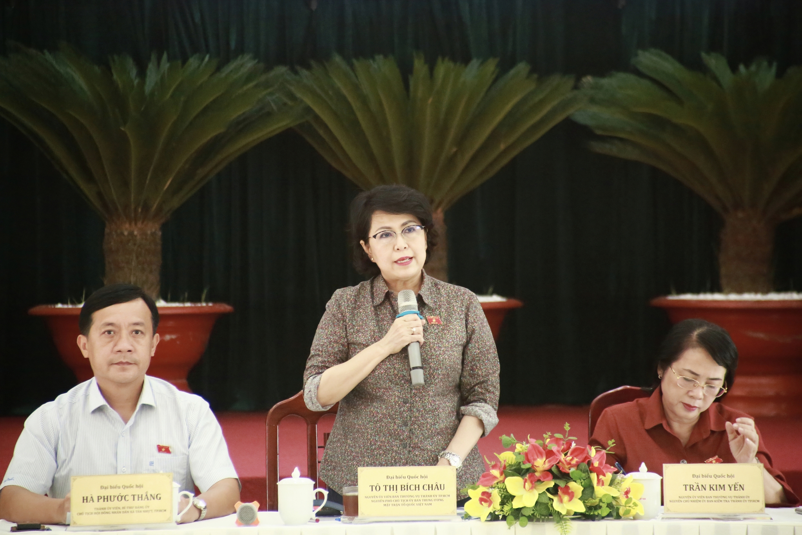 胡志明市国会代表团在平政县新日乡进行考察