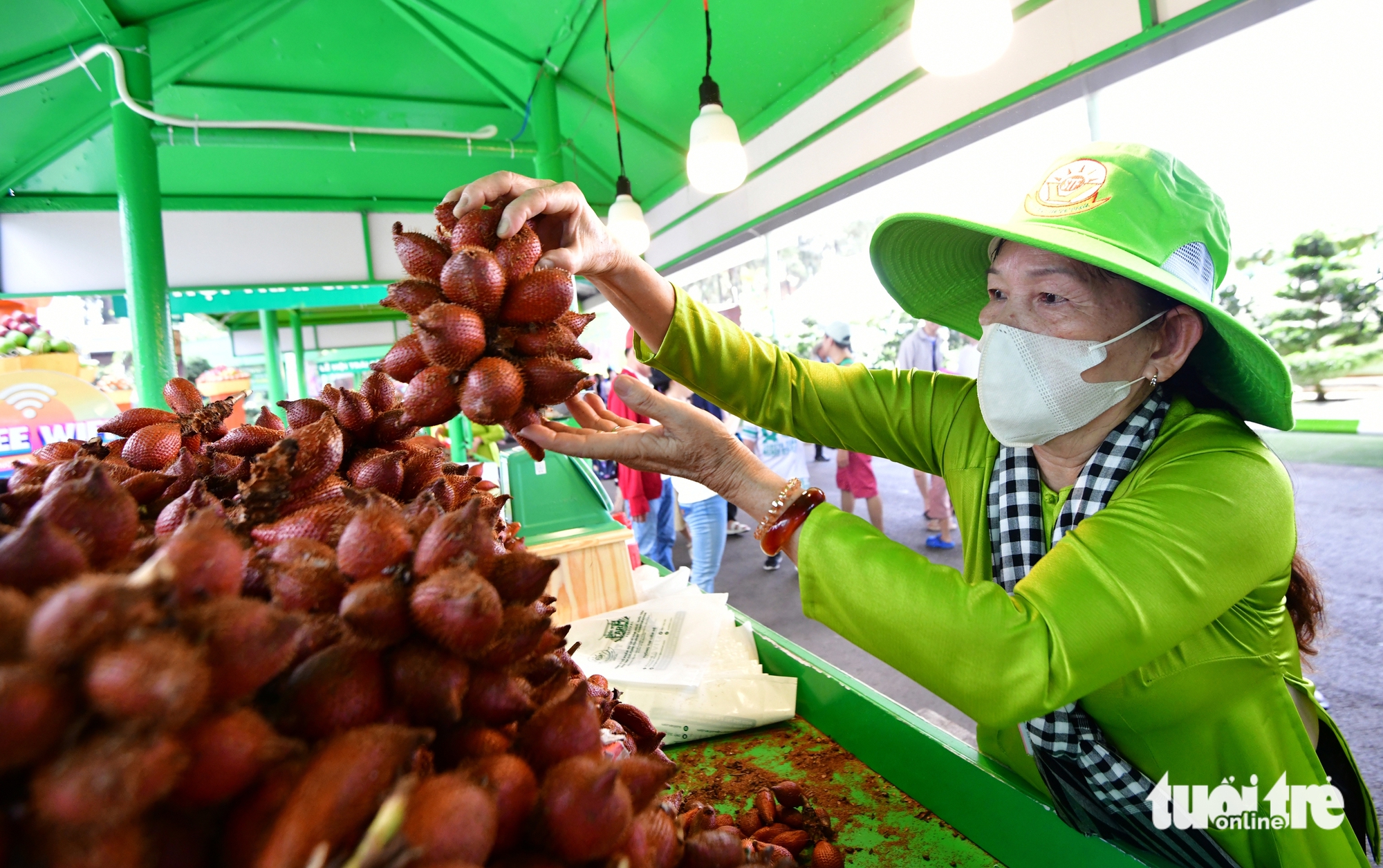 2025年南部水果节汇聚数百种特色水果，6月1日即吸引大量游客