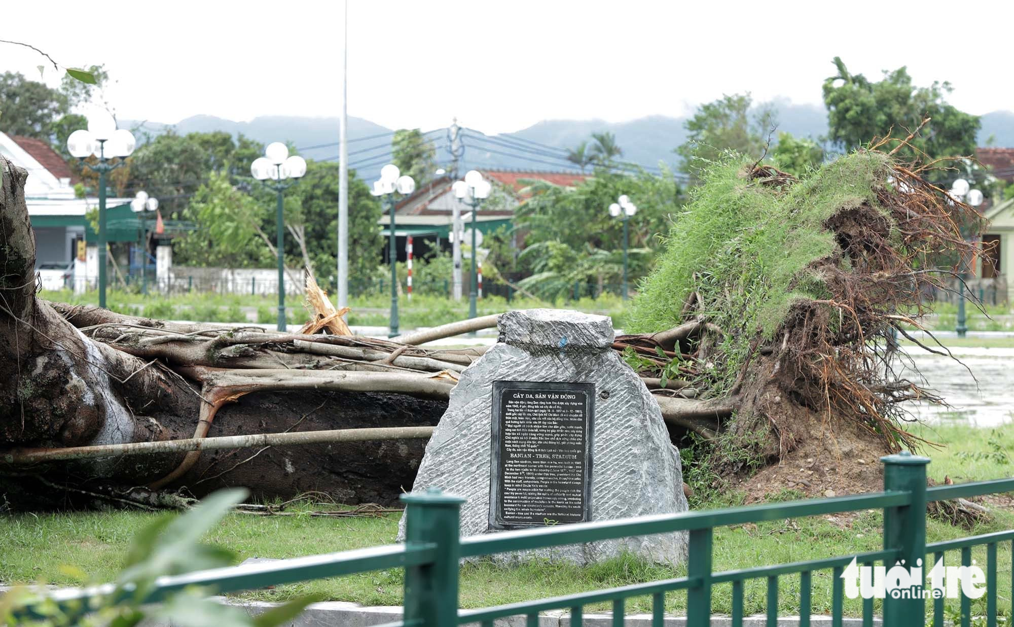 金莲国家特别历史遗迹区在国庆节期间清理台风后倒下的树木迎接民众