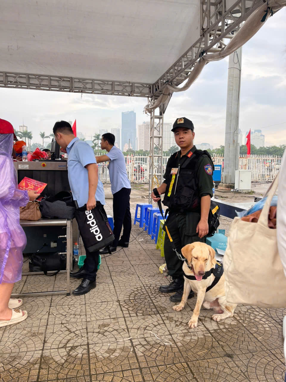 观看警察使用警犬检查爆炸材料，保护A80安全秩序