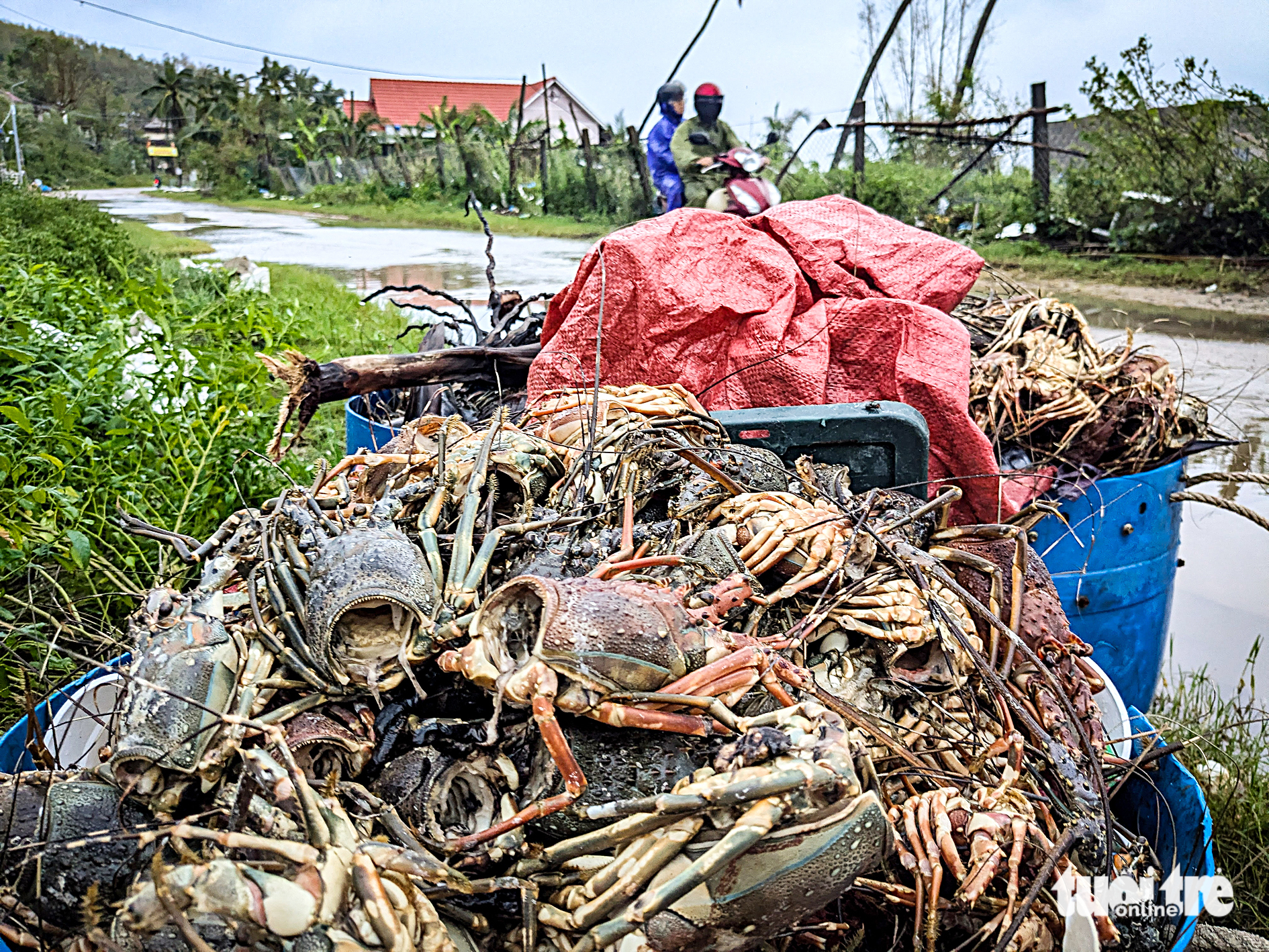 洪灾中心等待重建的悲伤地区