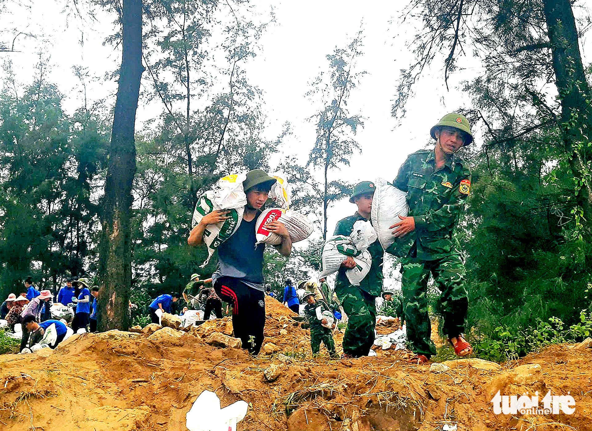 数百人被动员加固海岸以应对第五号台风