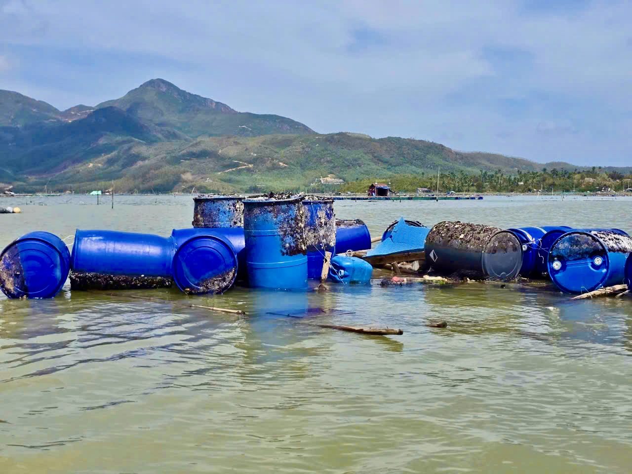 昆蒙湖养鱼者因台风后鱼全部死亡而痛哭