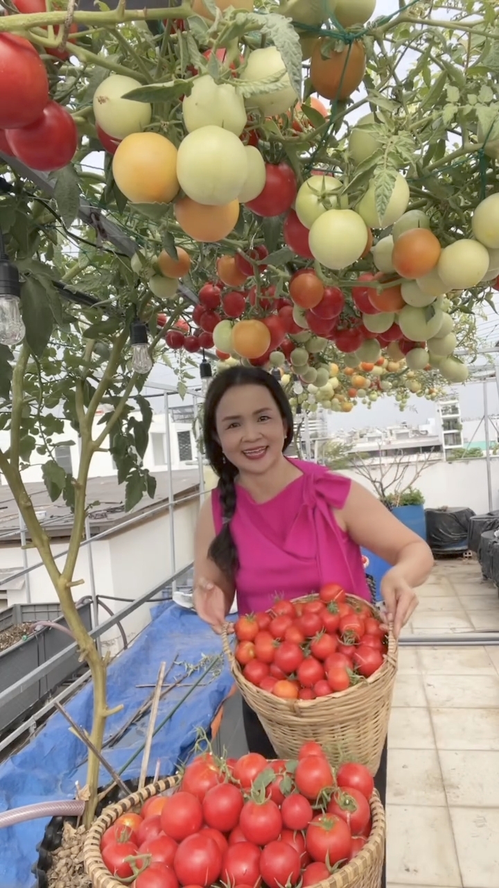妈妈在屋顶种满南瓜架作为中秋节和万圣节礼物送给孩子