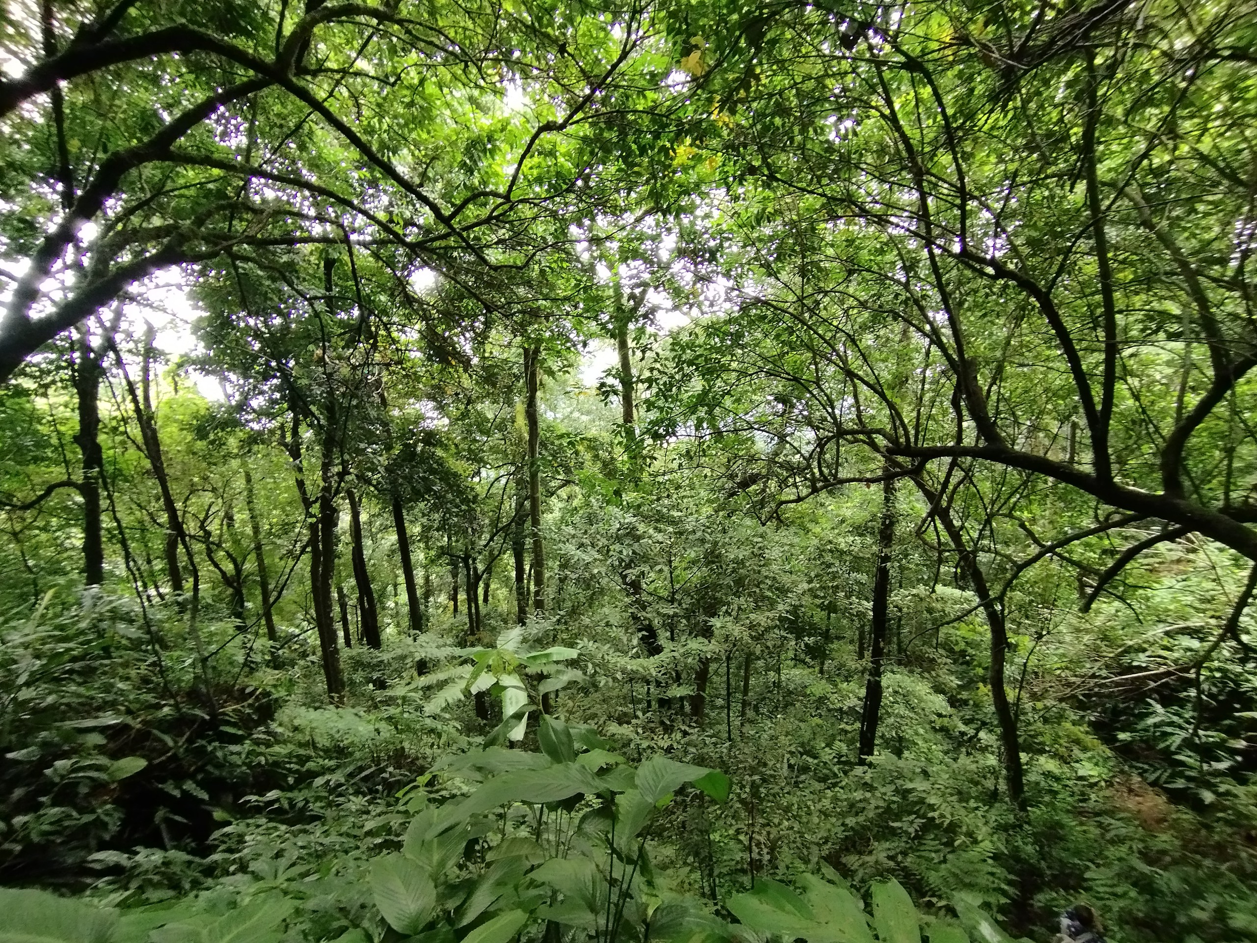 开通征服Pù Luông峰线路，吸引喜爱冒险旅游的游客来到Thanh地区
