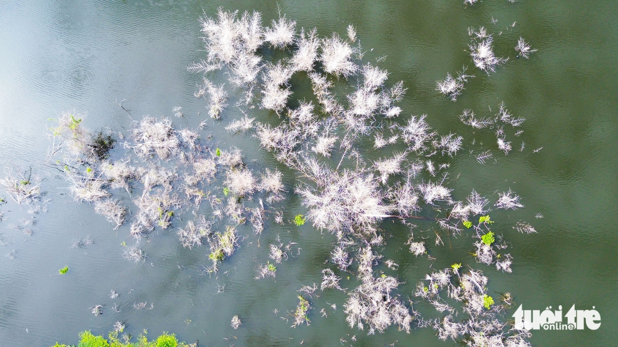 安江省的湖泊既储水灌溉又开发旅游
