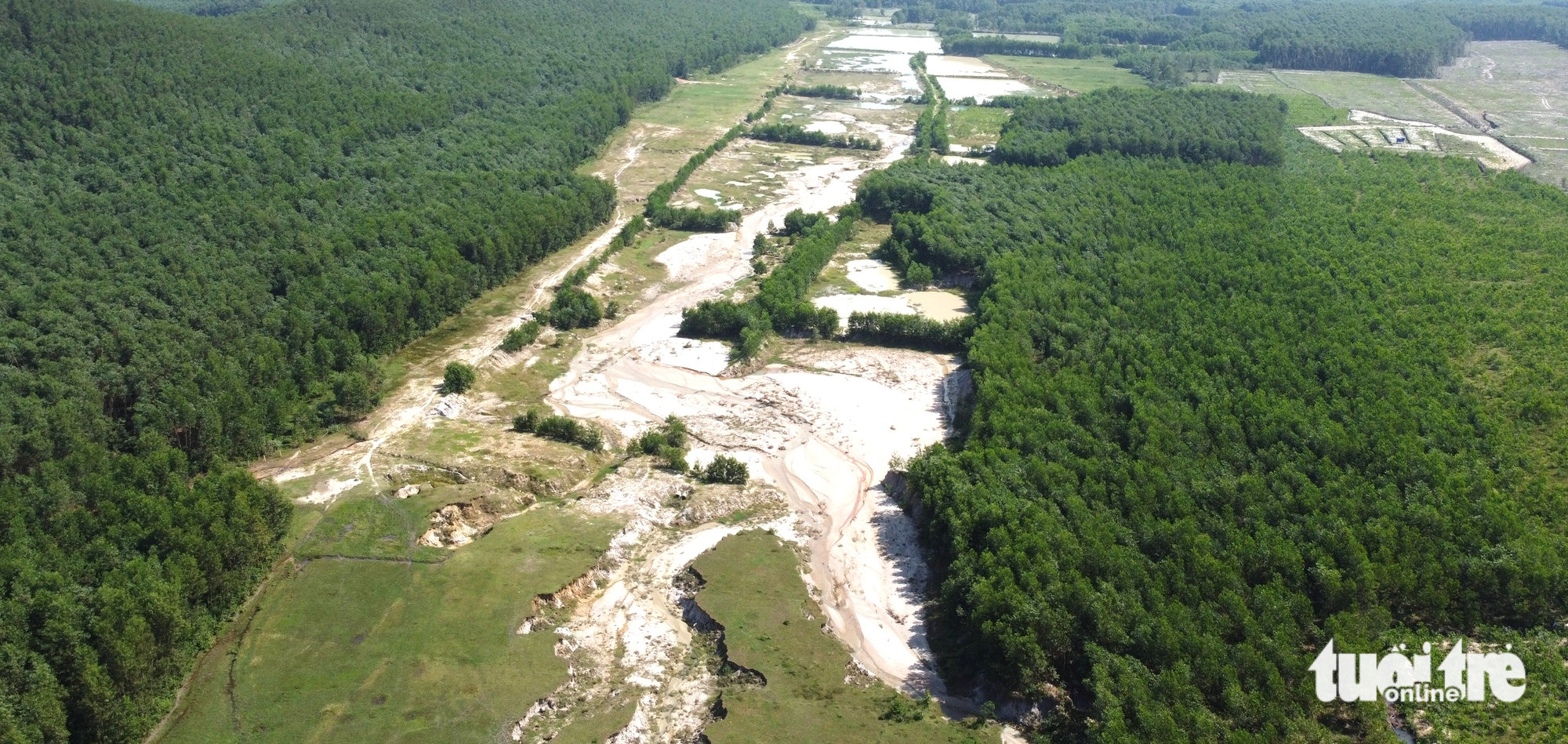 破坏农田后推卸责任并申请破产