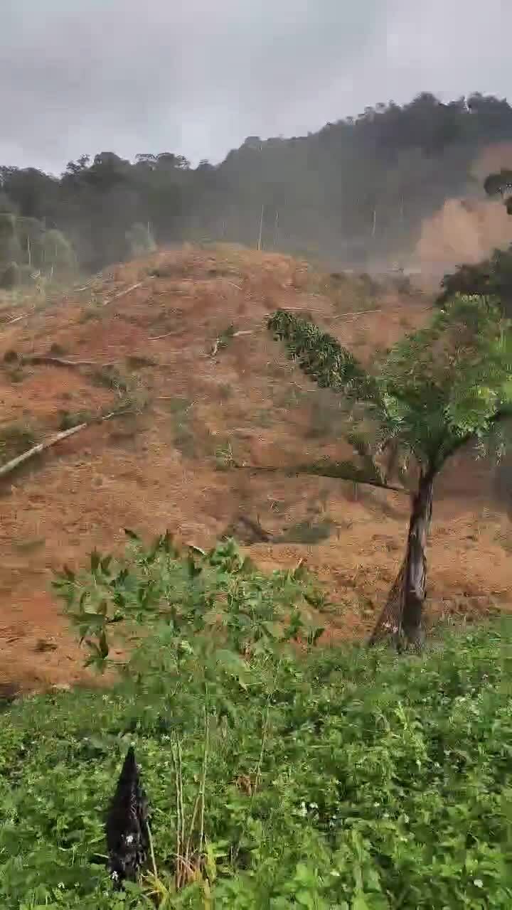 山体滑坡如瀑布，疑掩埋三人