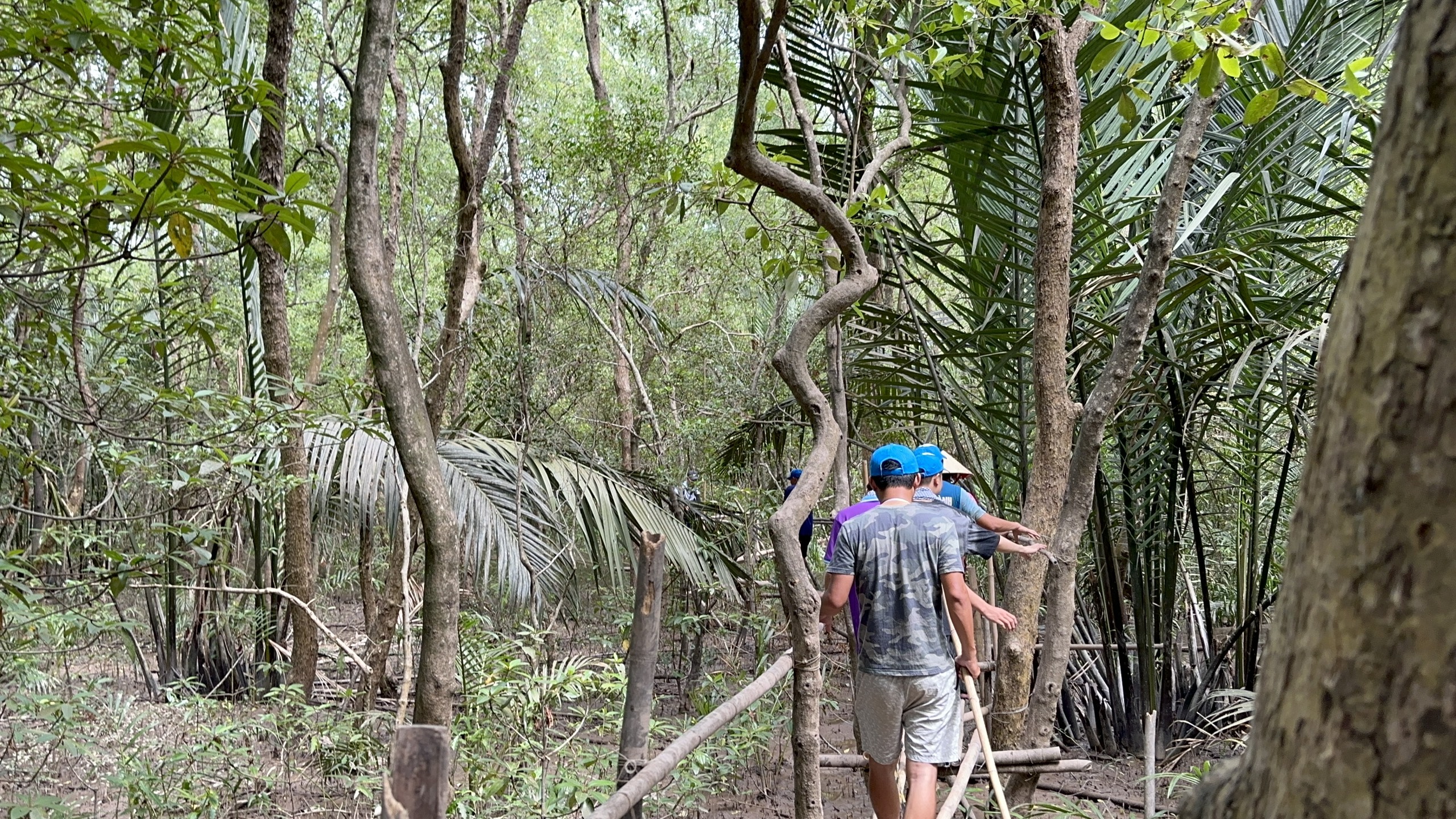 渔民通过...在防护林下开发生态旅游‘改变命运’