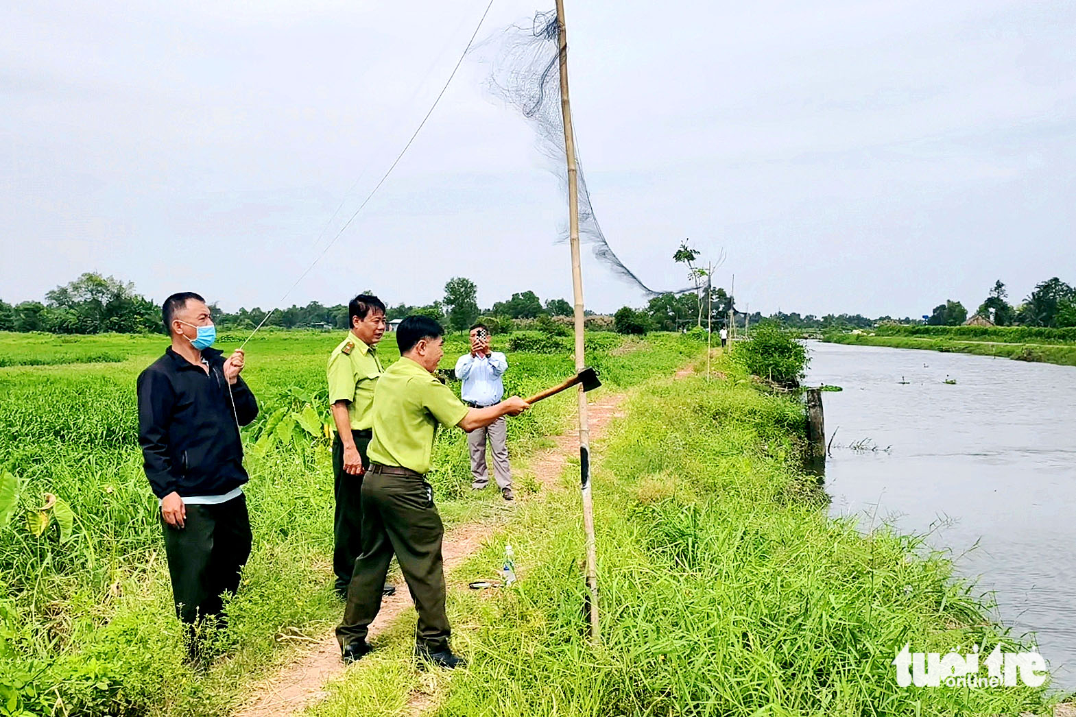 在胡志明市同盛乡拆除240米捕鸟网