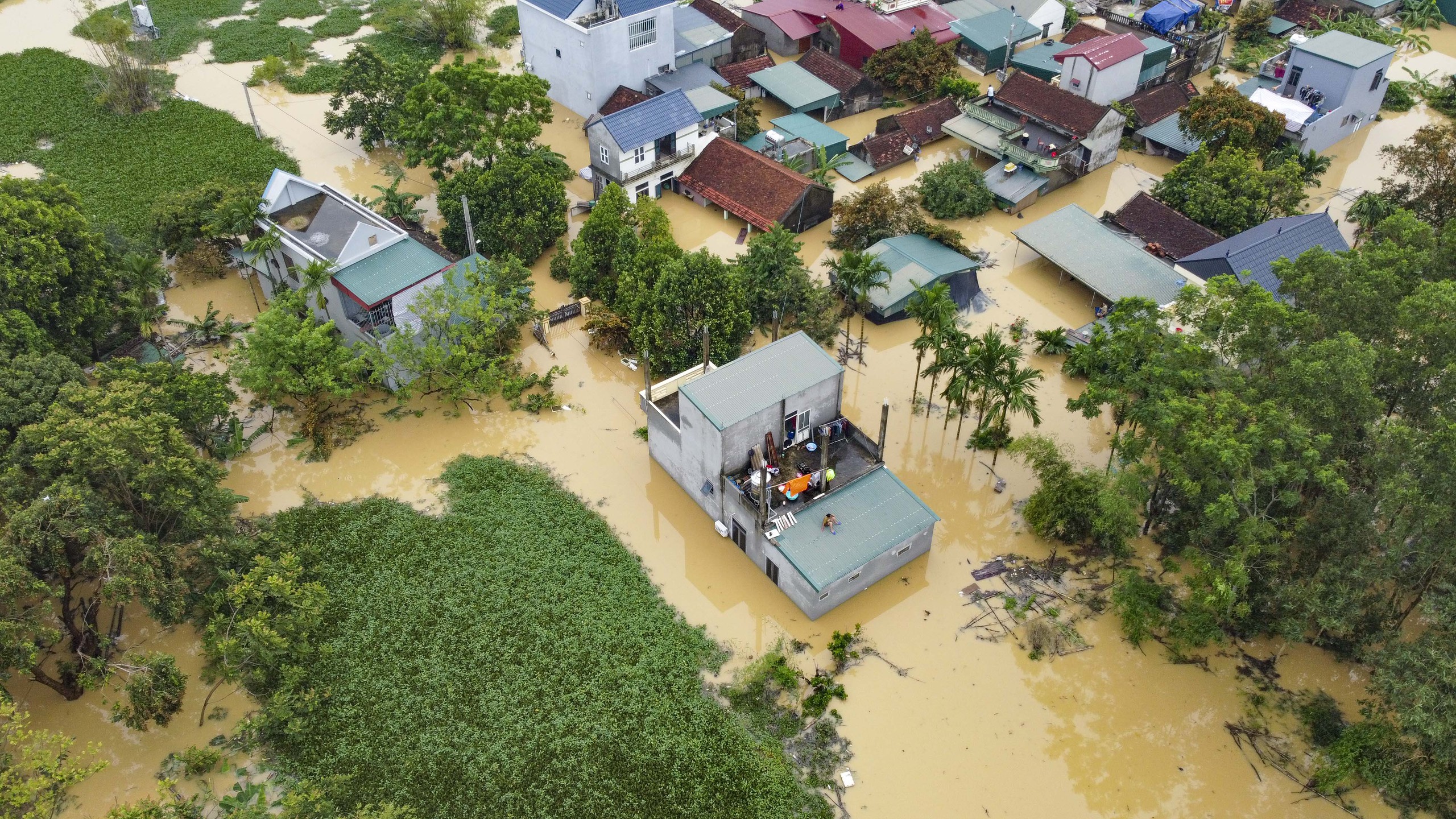 清化省数千民房被洪水淹没