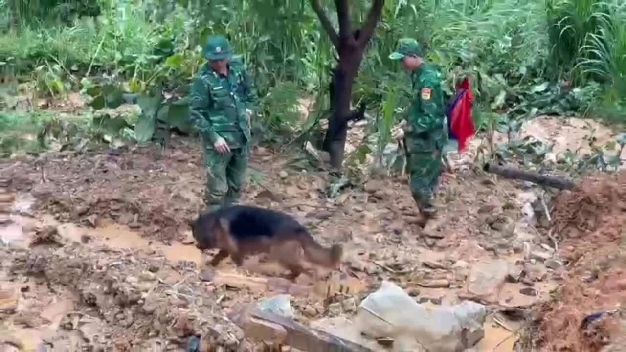 数百人与警犬在龙居县搜寻四名被埋遇难者