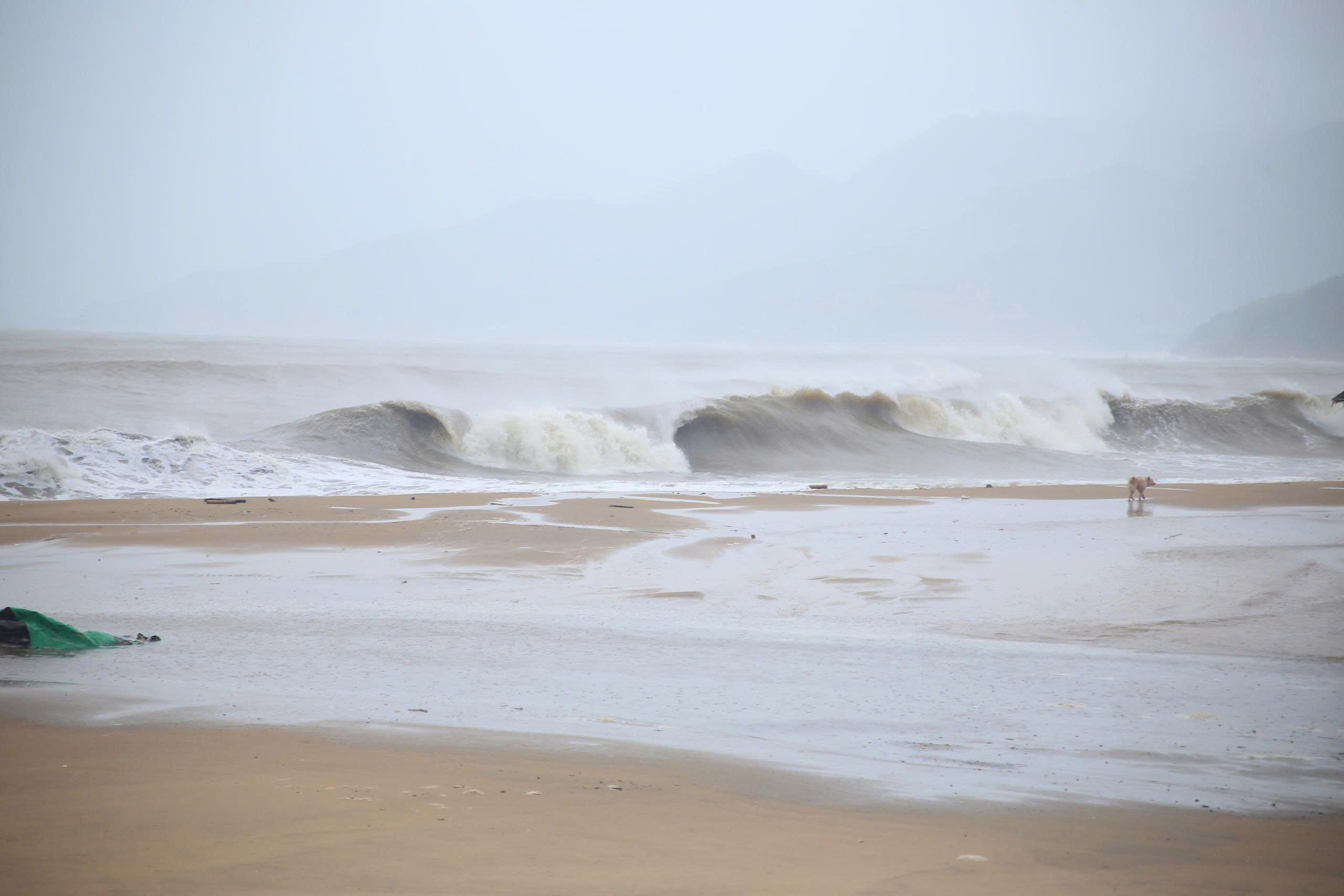 今日天气 10-11：凤凰台风进入东海，浪高可达10米