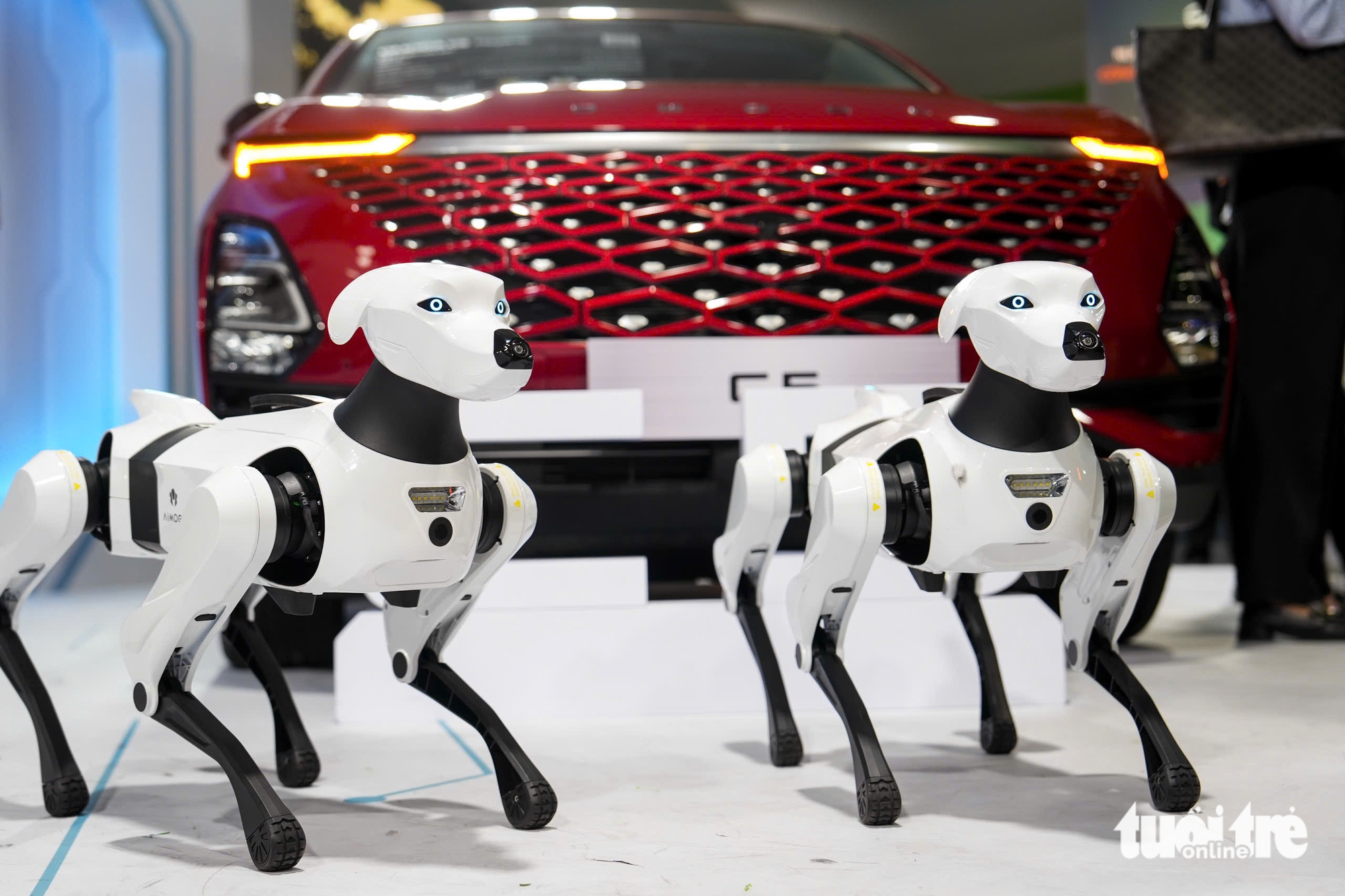 在阮惠步行街欣赏一系列先进、最现代的尖端技术