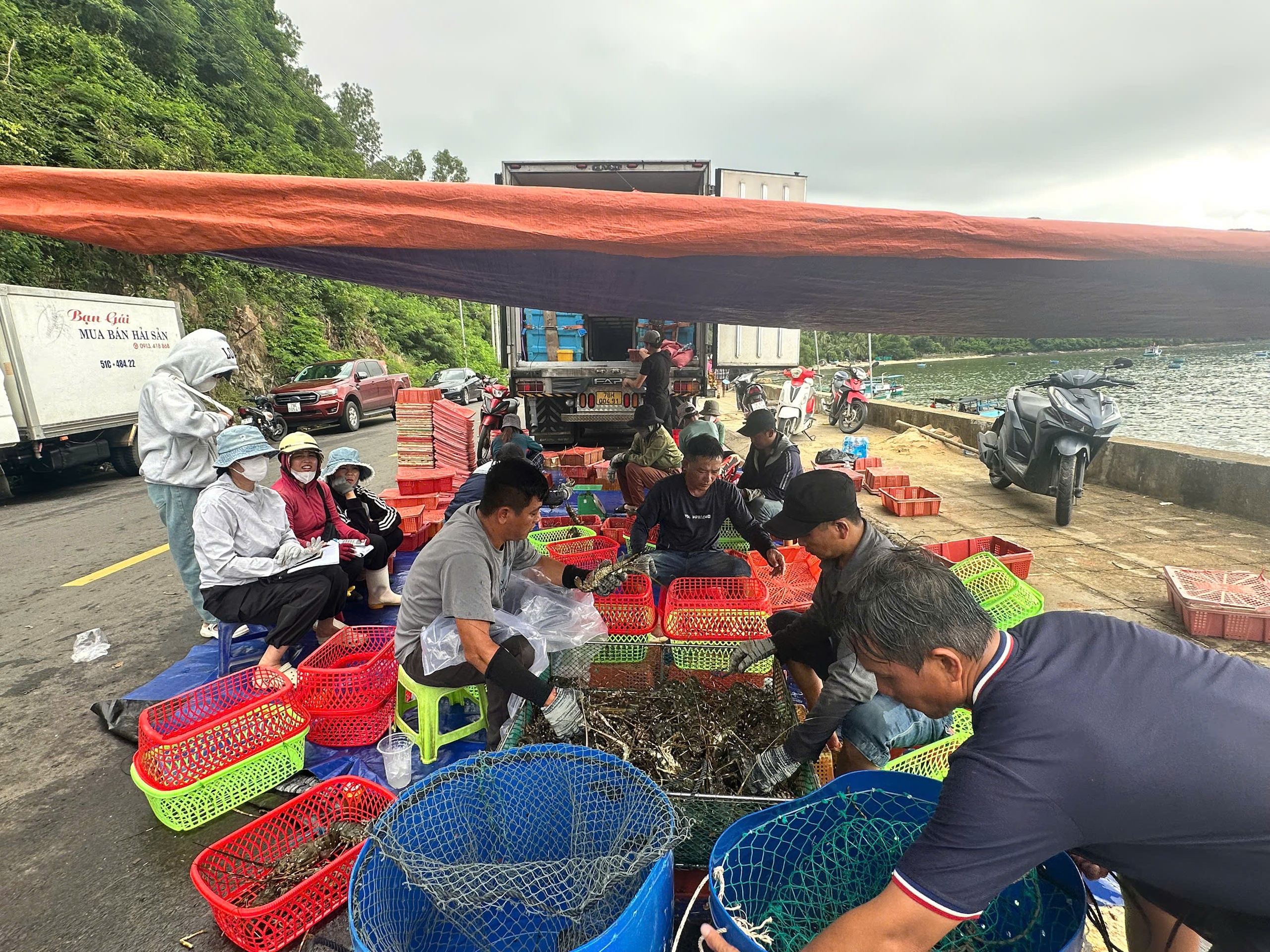 民众抢售龙虾以躲避第13号台风