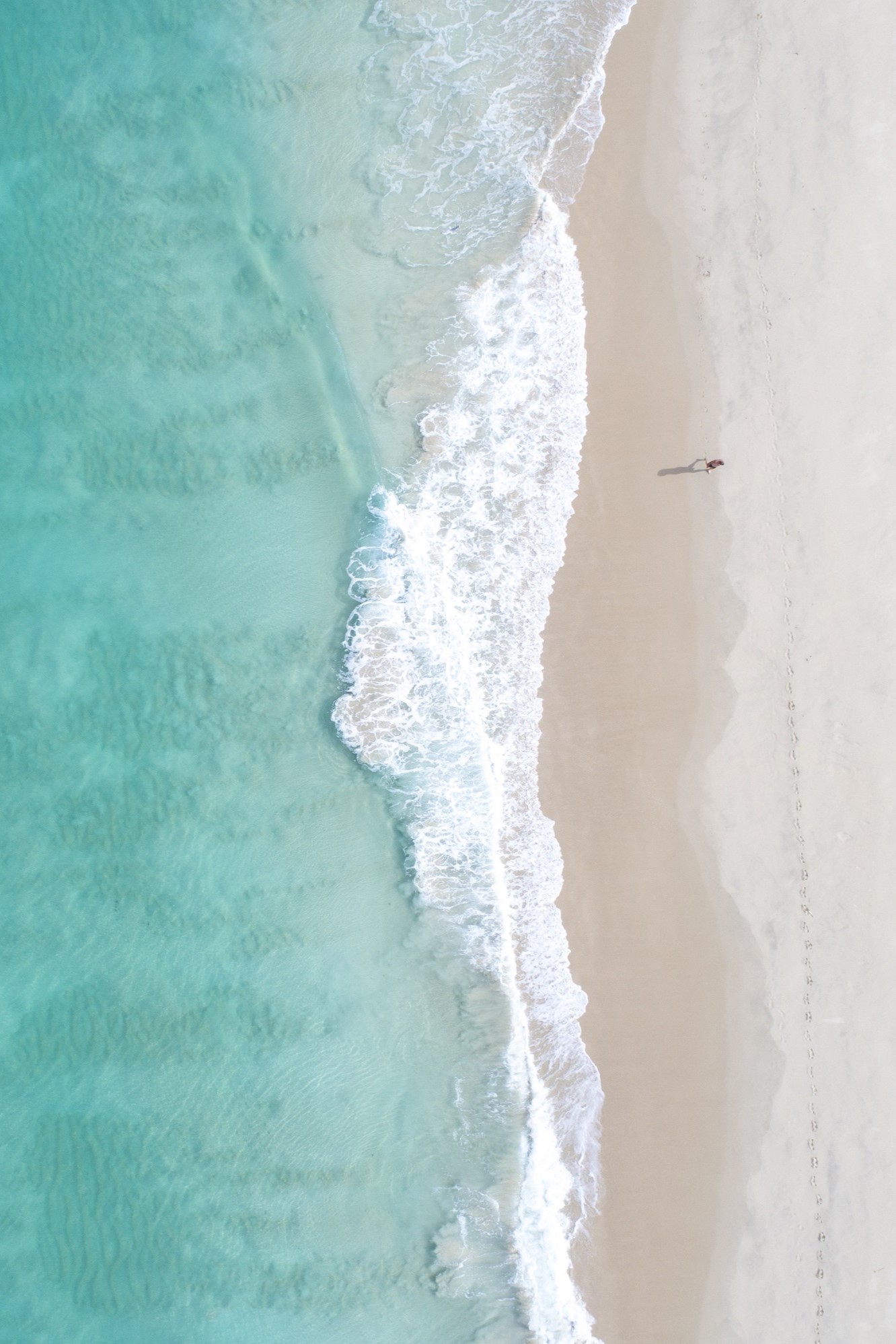 沉浸在珀斯的金色阳光和蓝色海洋天堂中