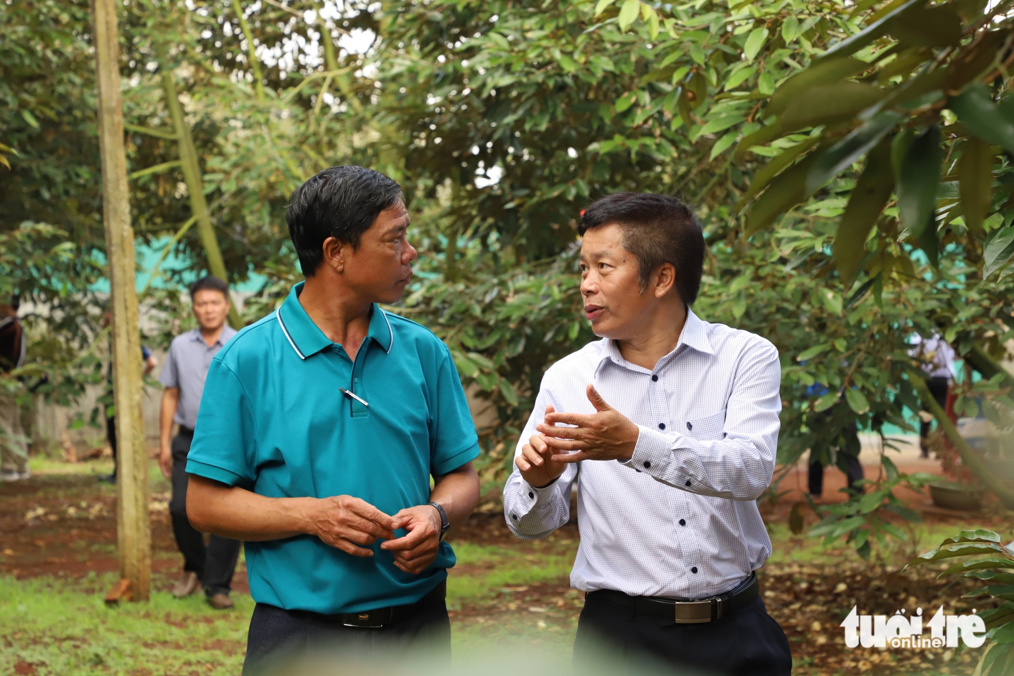 女乡党委书记网络直播销售榴莲，为农产品开辟新途径