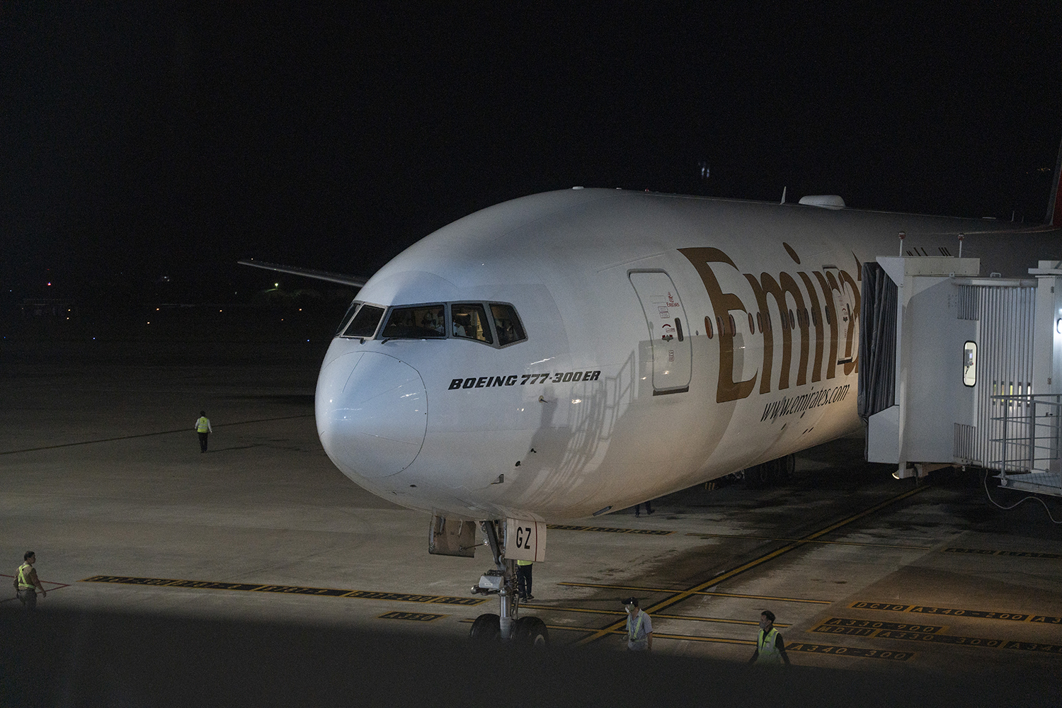 世界最大航空公司阿联酋航空的飞机将乘客从迪拜带到岘港