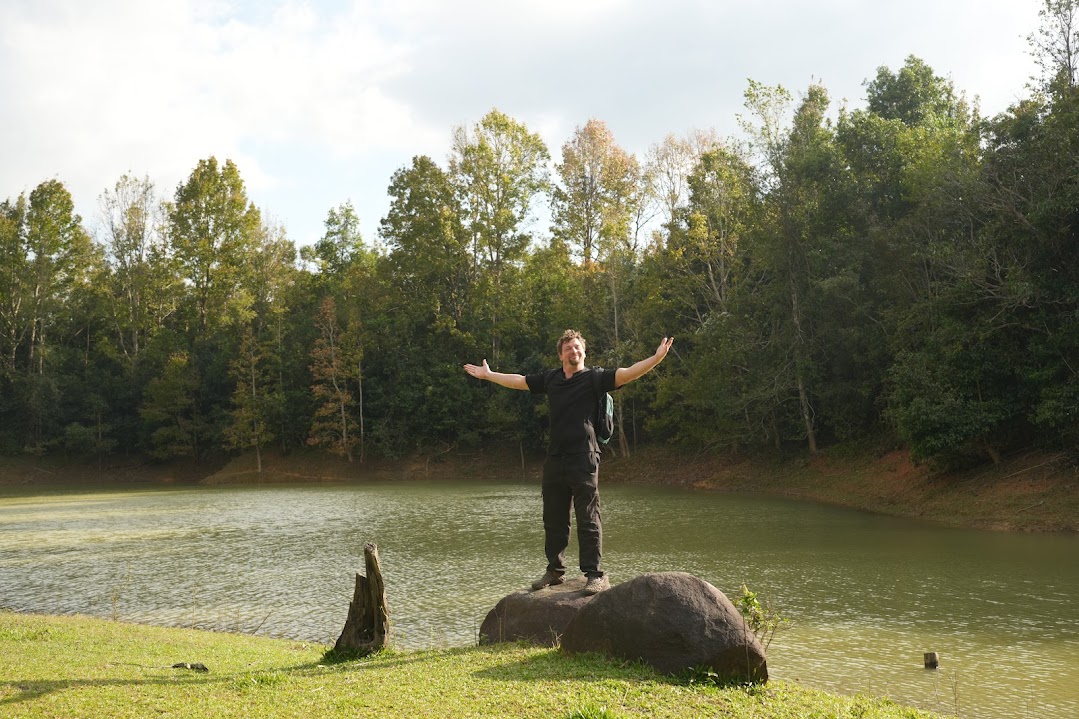 广治西部枫香叶换季的魅力