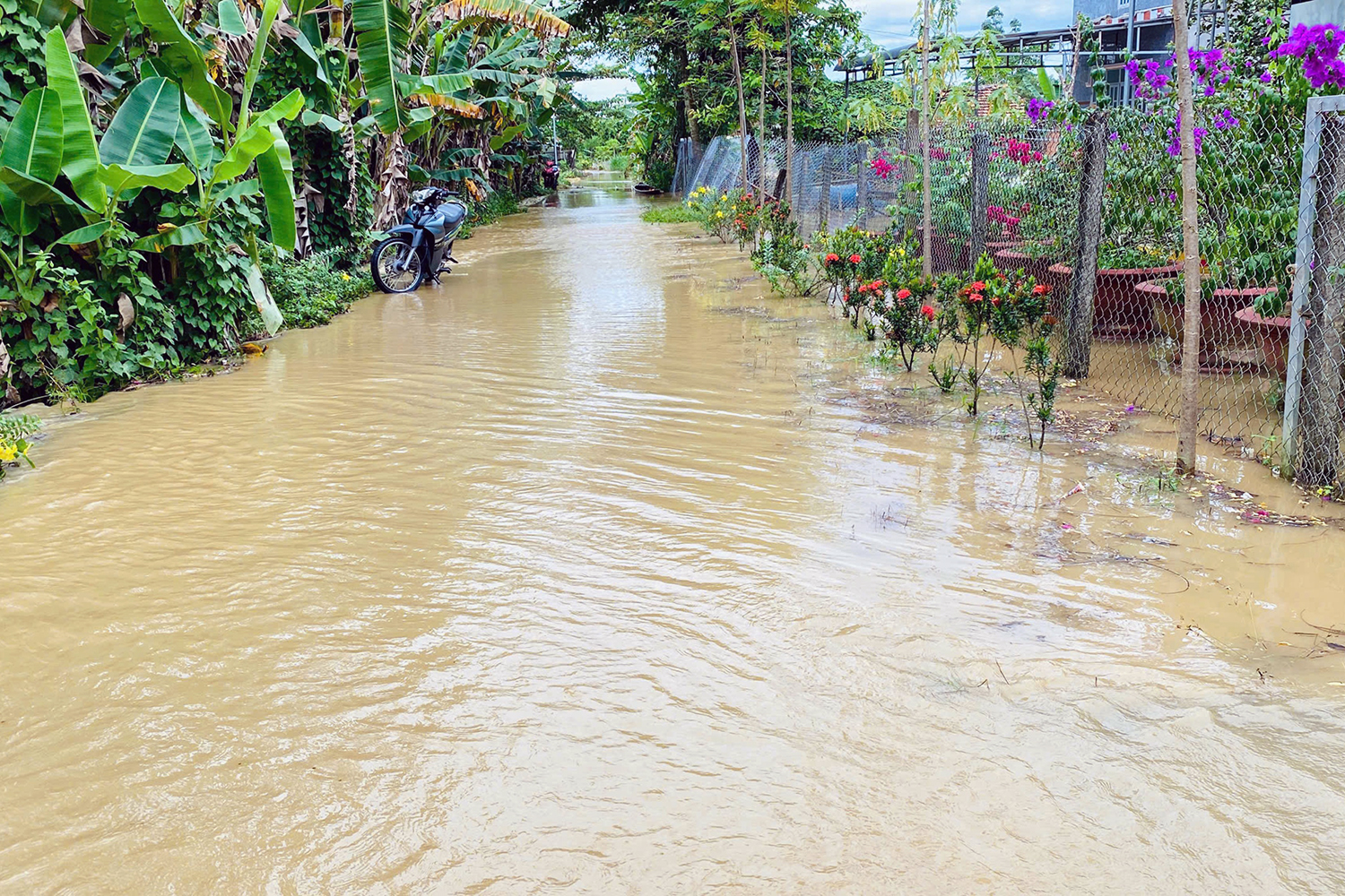 同奈5号水电站泄洪，下游数百户家庭遭受洪水淹没
