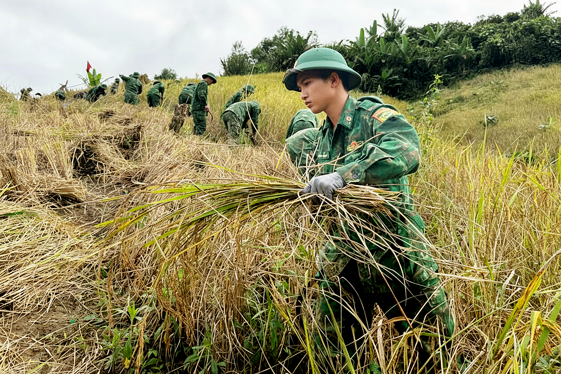 边防部队帮助民众收割水稻以躲避台风，加固房屋