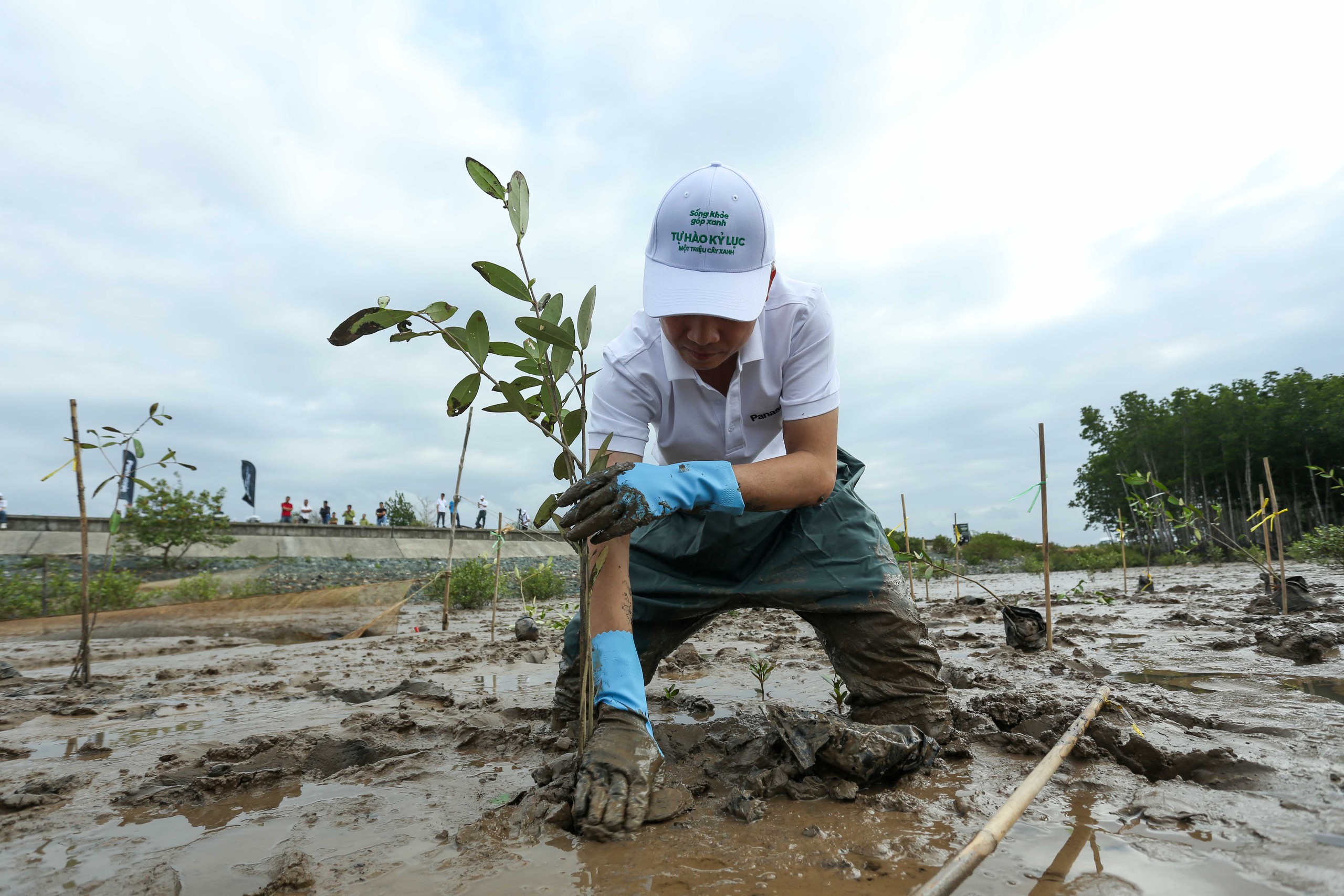 越南5年种植14亿棵绿树，为应对气候变化努力做出重要贡献