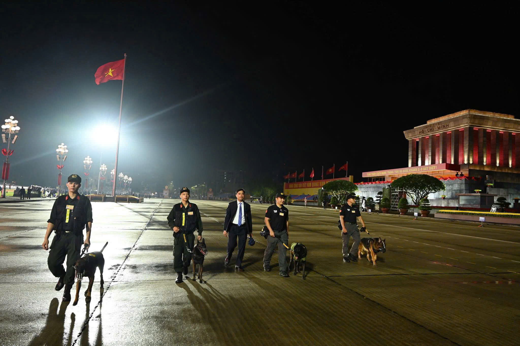 观看警察使用警犬检查爆炸材料，保护A80安全秩序