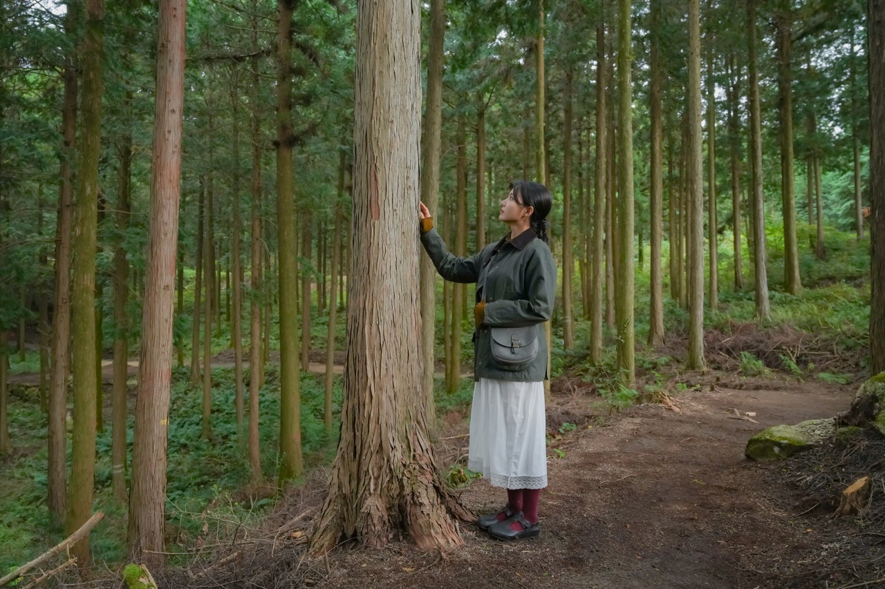 韩国在全北古村推广《月之云画》中的疗愈旅游